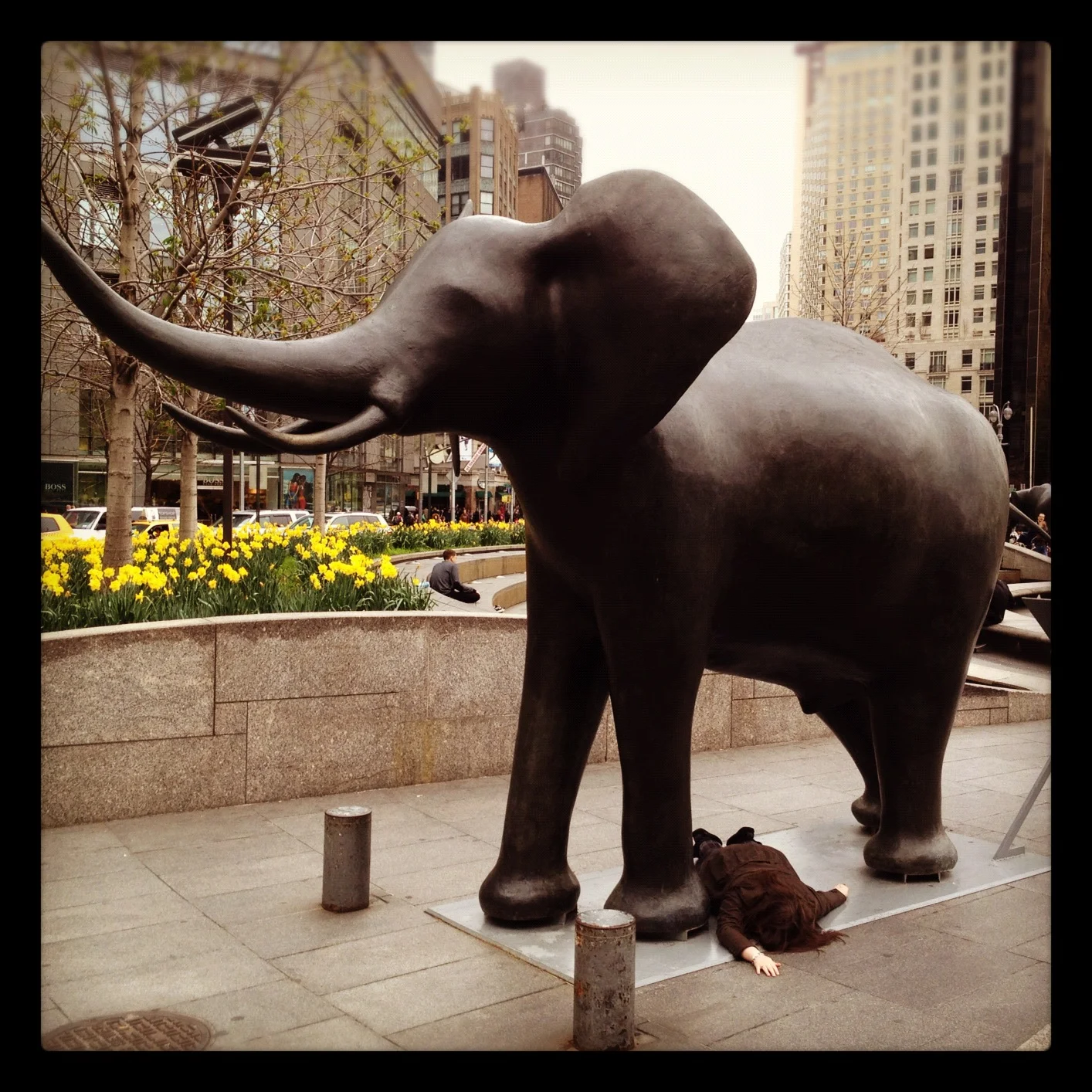   #deaddenah Death By Elephant , 2012  Columbus Circle, NYC 