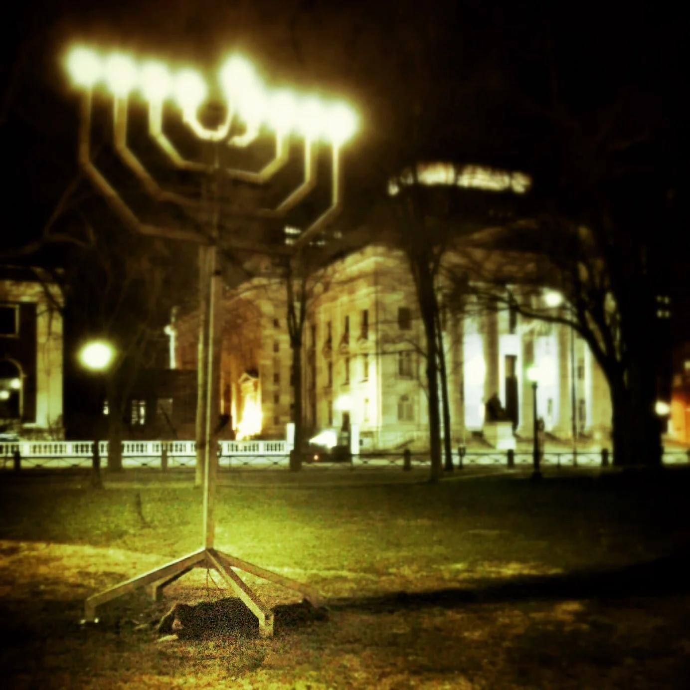   #deaddenah and Too Much Chanukah , 2015  New Haven, Connecticut 