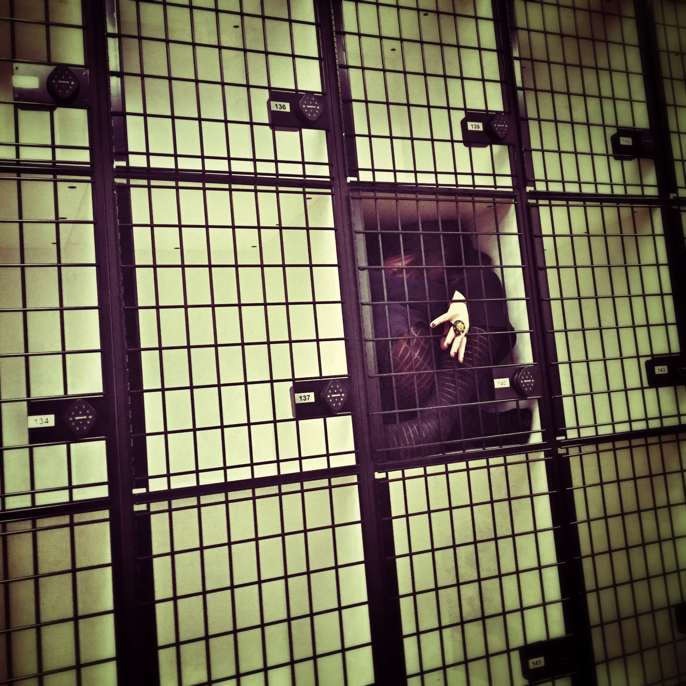   #deaddenah confined , 2015  Parsons, New York City 