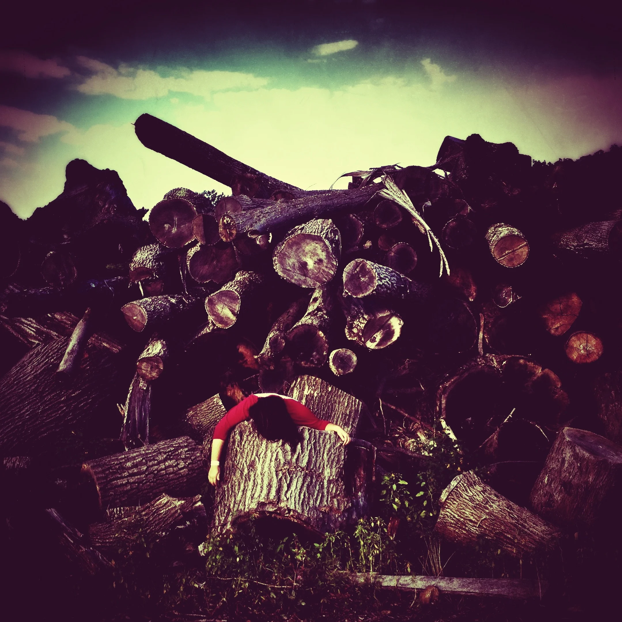 #deaddenah Beyond The Barricade , 2014 Alstede Farms, New Jersey