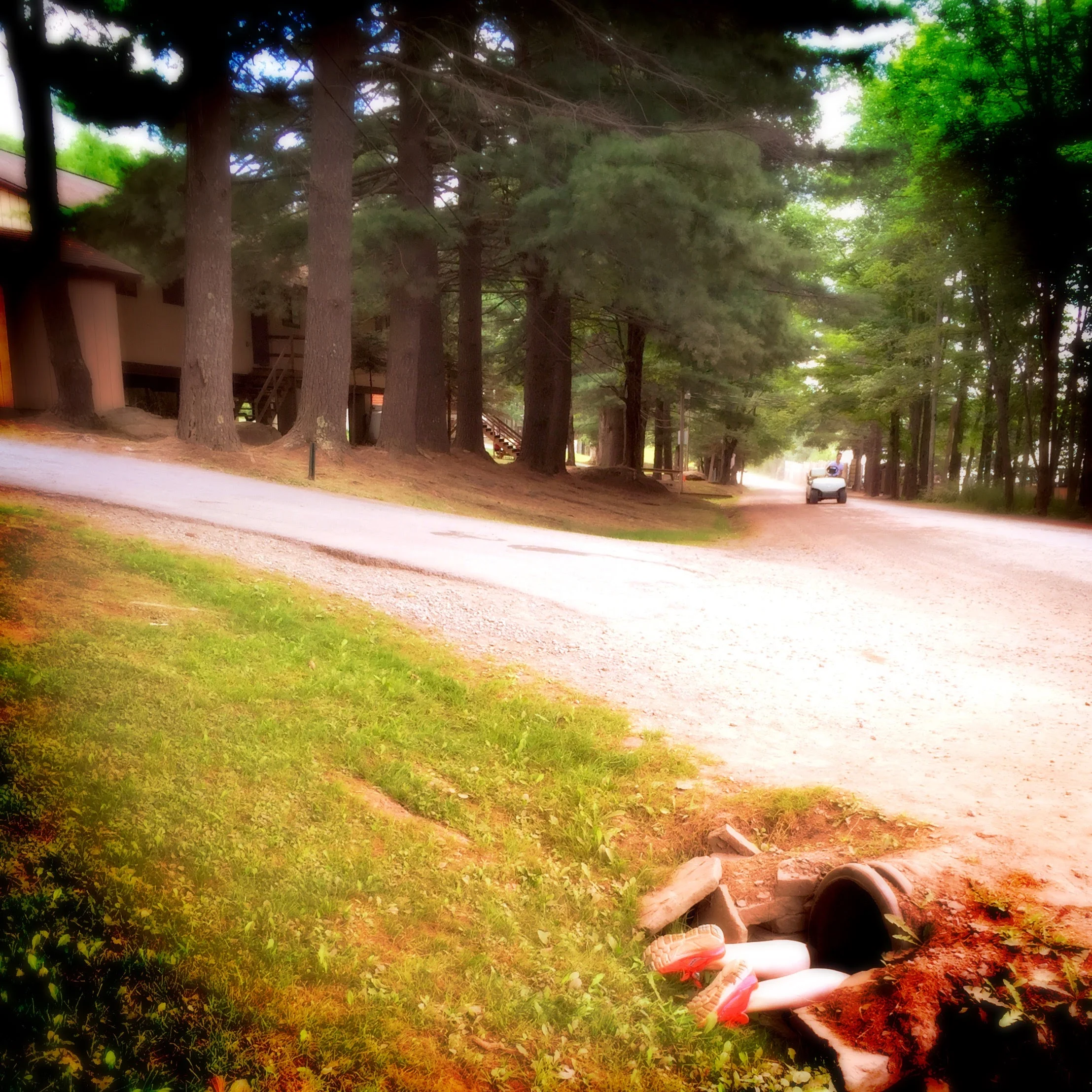   #deaddenah and The Road Less Traveled ,&nbsp;2015  Camp Morasha, Pennsylvania 