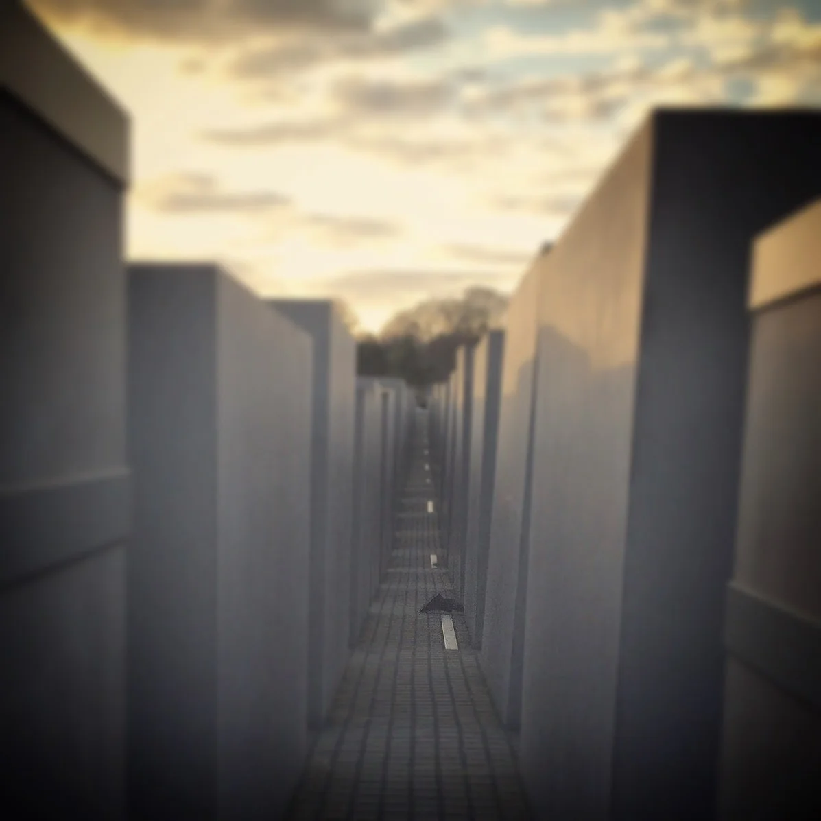    # deaddenah  knows you might have an issue with this, but is willing to debate the academic merits  , 2016  Memorial to the Murdered Jews of Europe, Berlin 