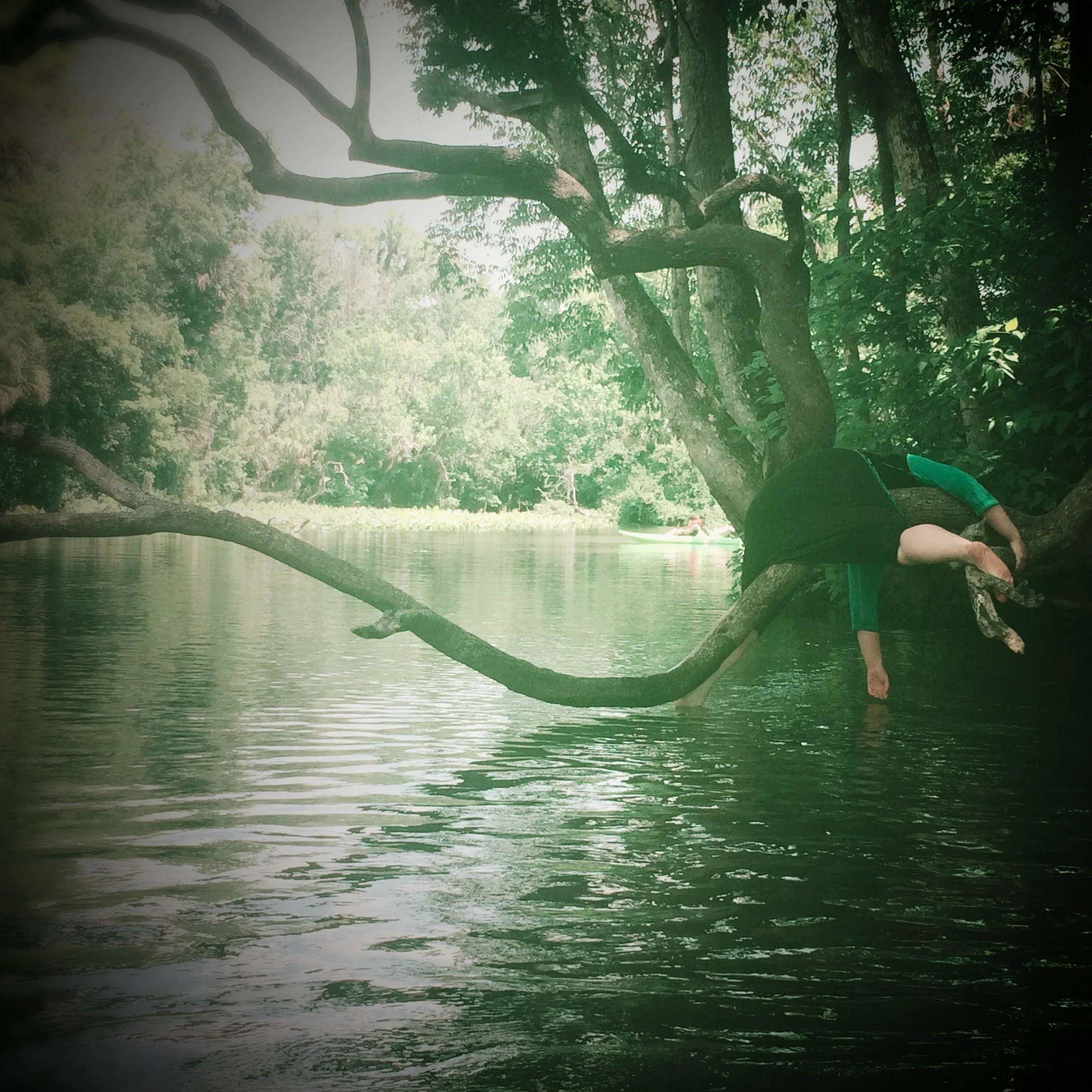    Me # deaddenah, You Jane , 2016  Wekiva Island, Florida 