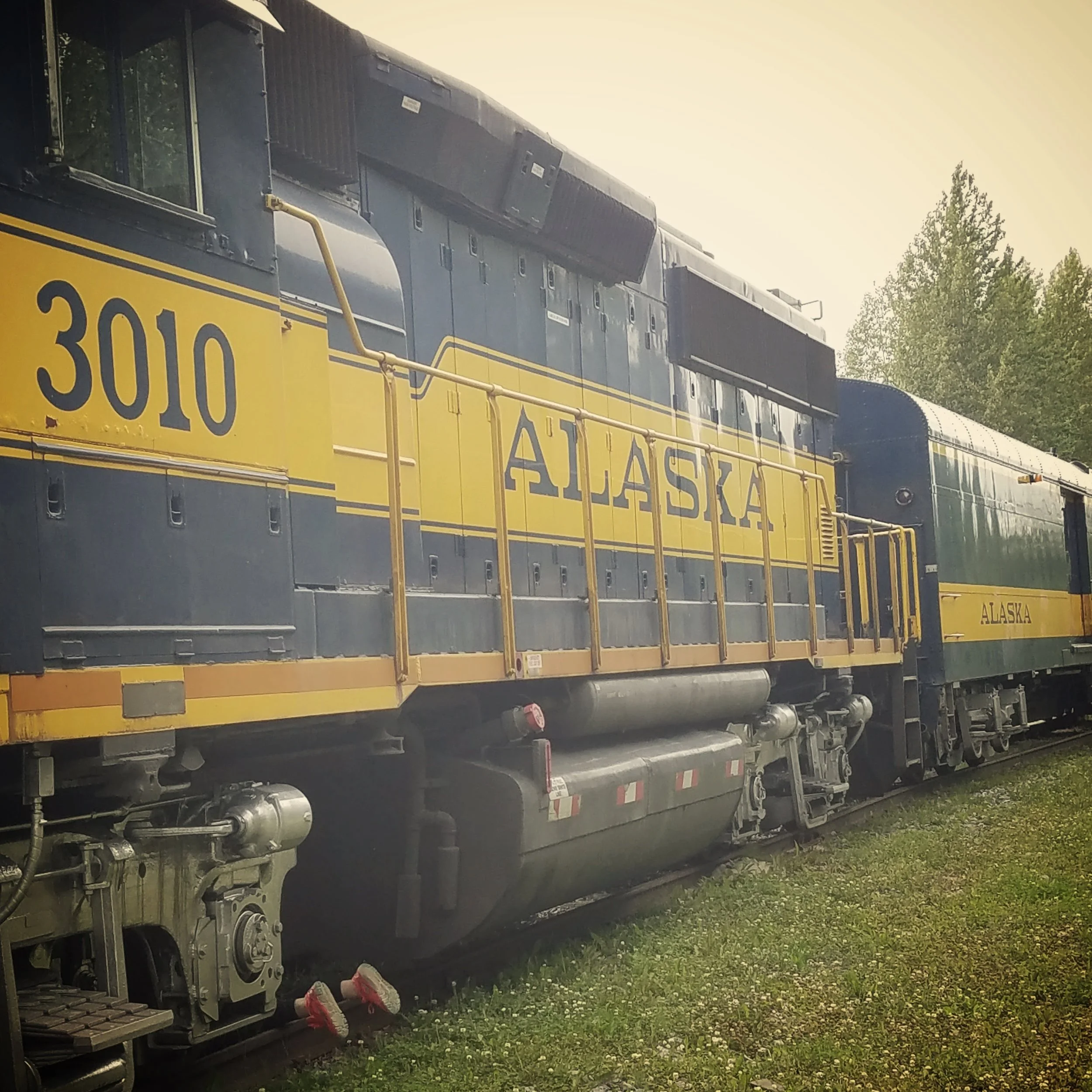    # deaddenah thinks she can , 2016  Talkeetna, Alaska 