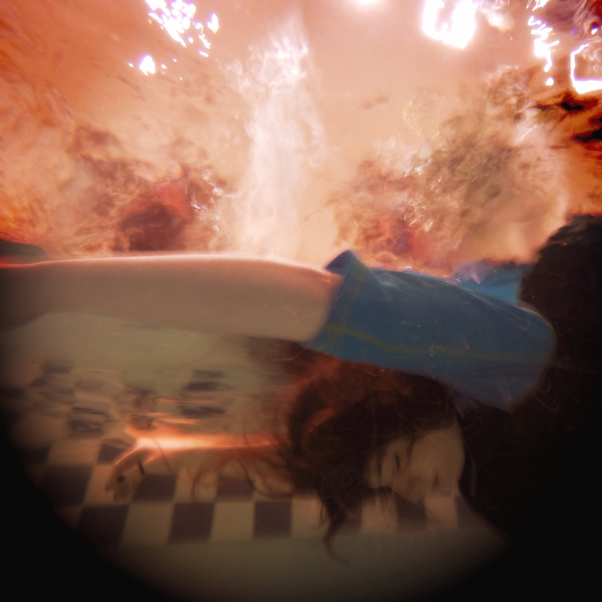    # deaddenah goes swimming , 2015  Memphis, Tennessee 