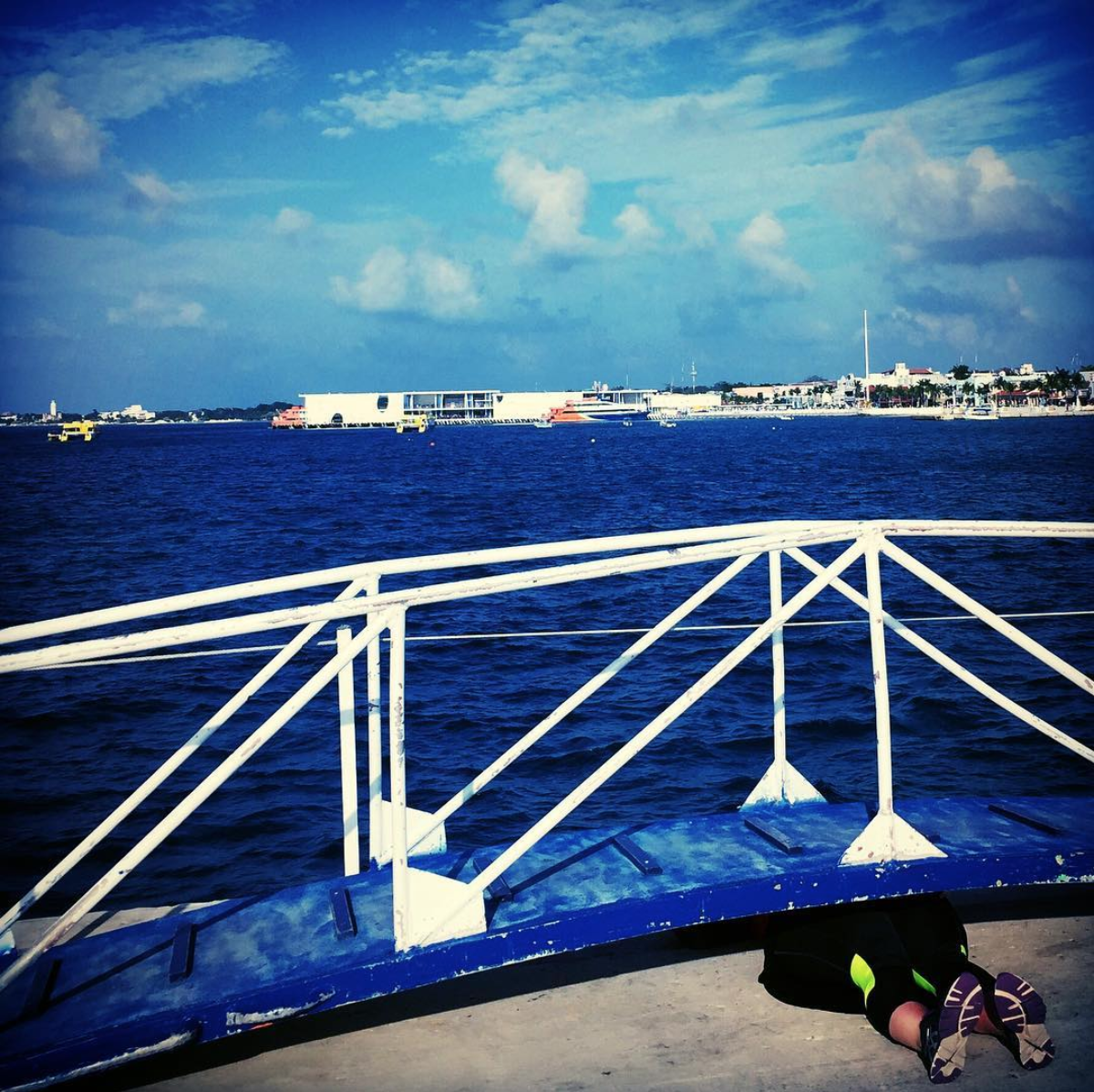 #deaddenah under the boardwalk , 2018 Cozumel, Mexico