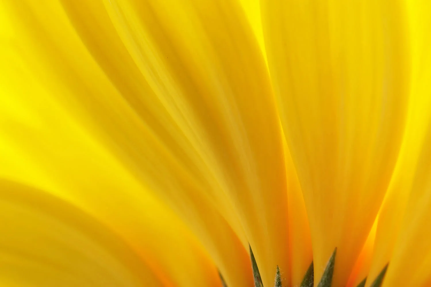 PianoMeditationsBackground.jpg