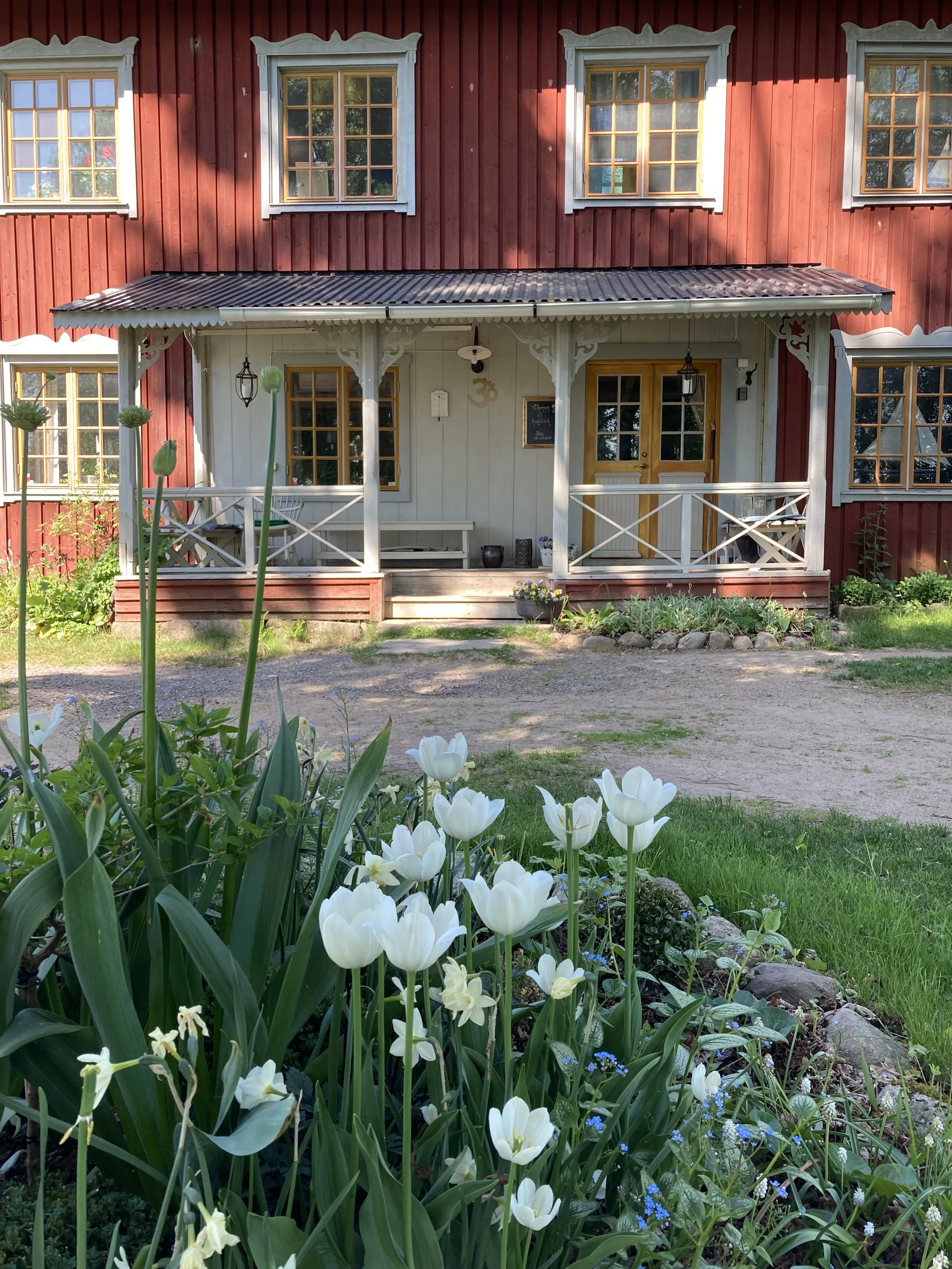 IMG_4663 (kopia).jpeg