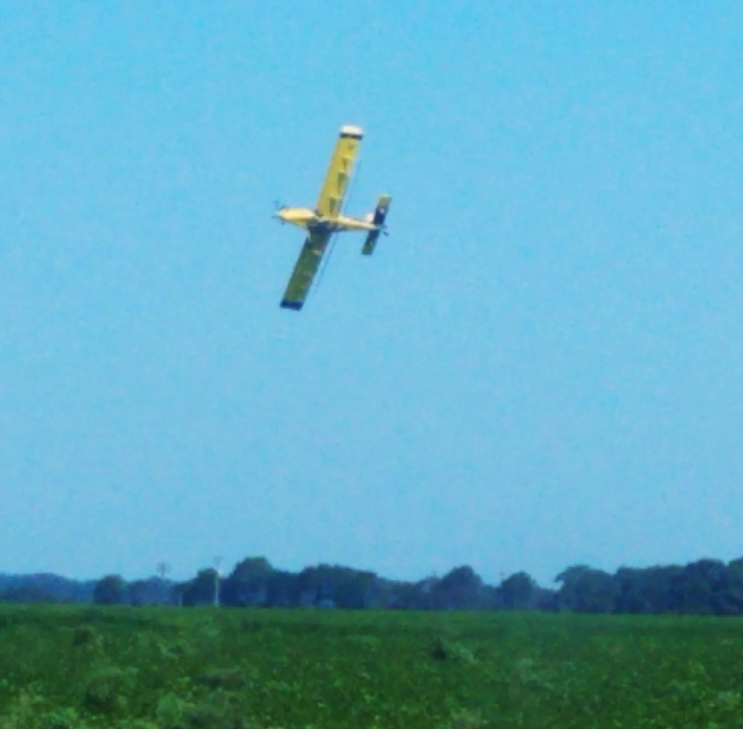 20180724_101125.jpg