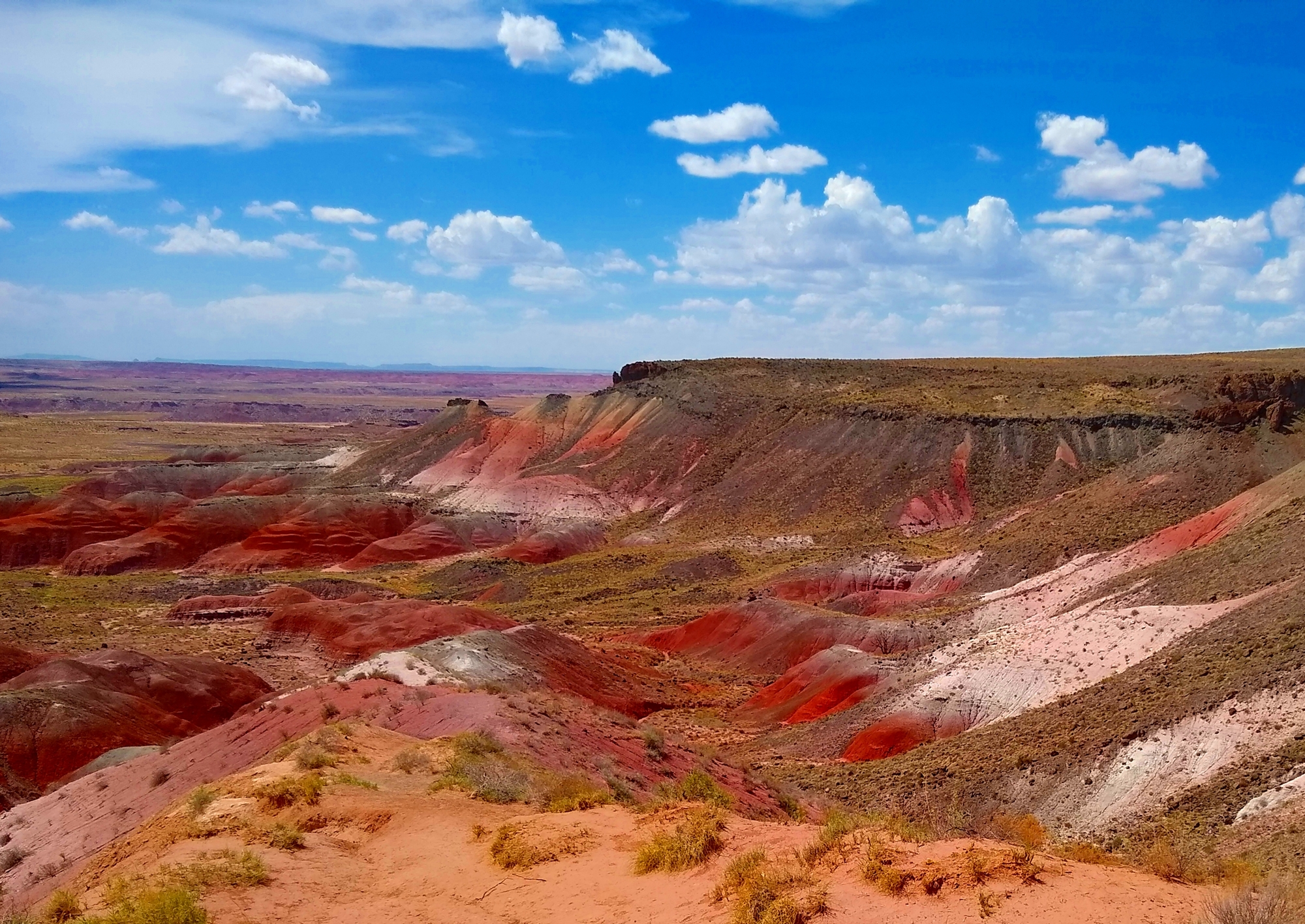 painted-desert1.jpg