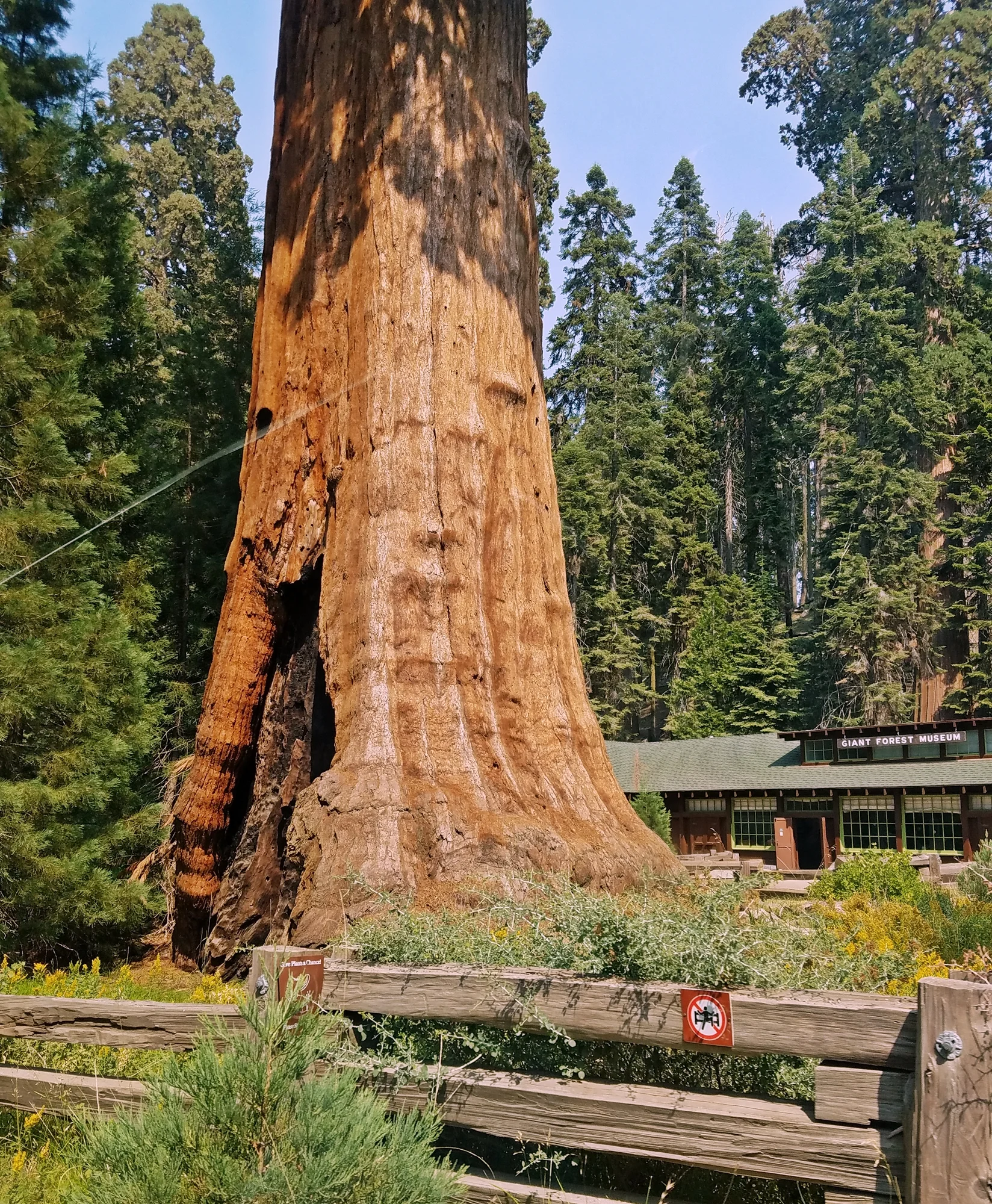 20180729_154302.jpg