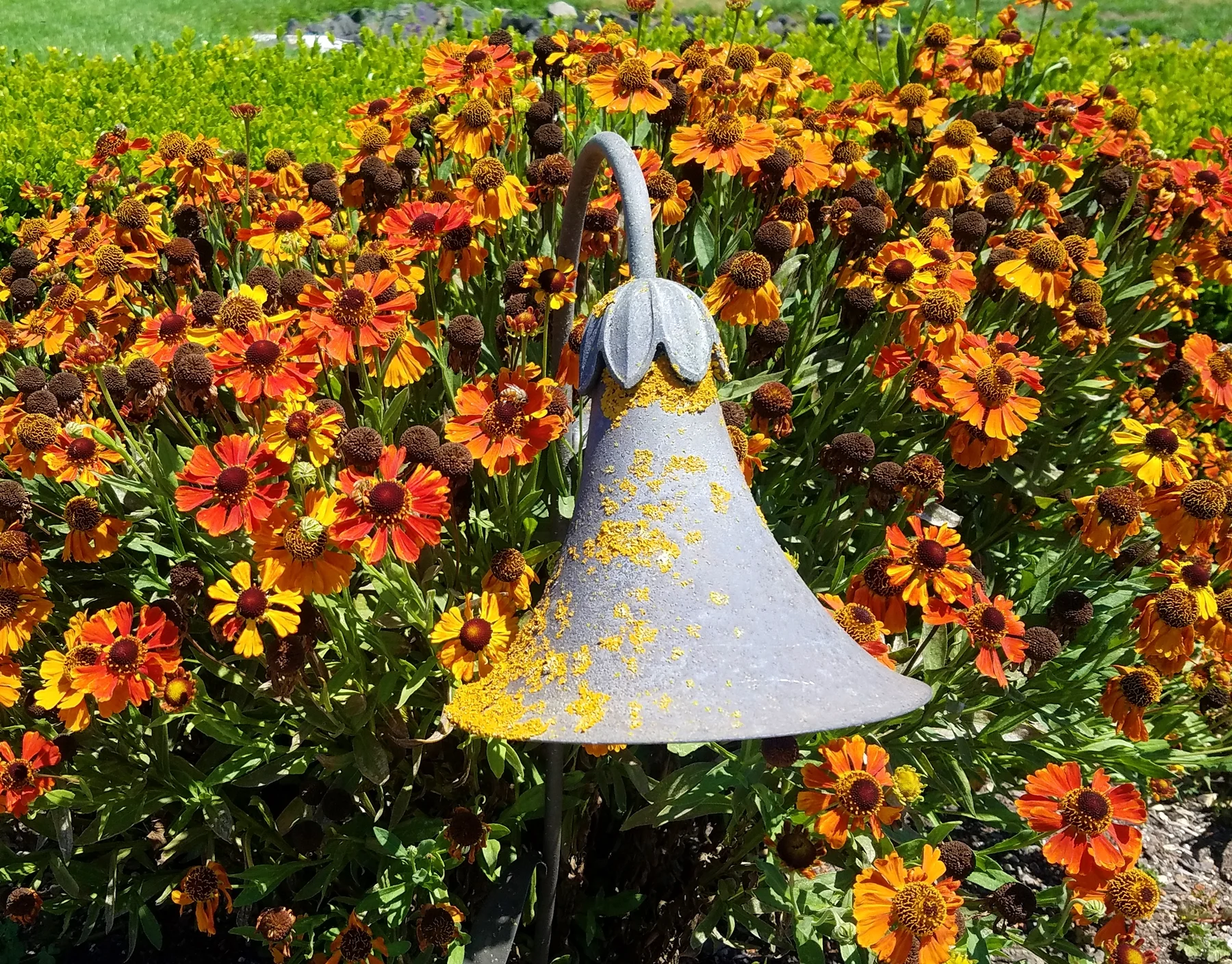 The yellow on the light is pollen. From honey bees.