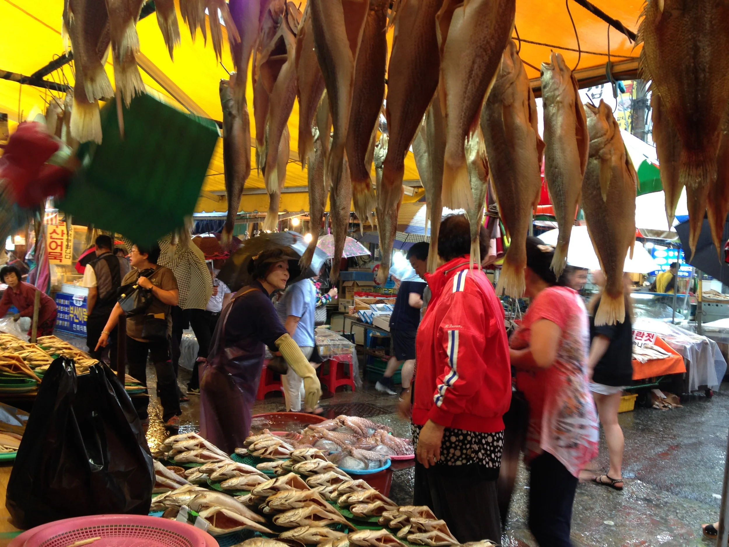 Bar Trip Series: Busan's Jagalchi Fish Market and Korea's Most Outrageous Spa