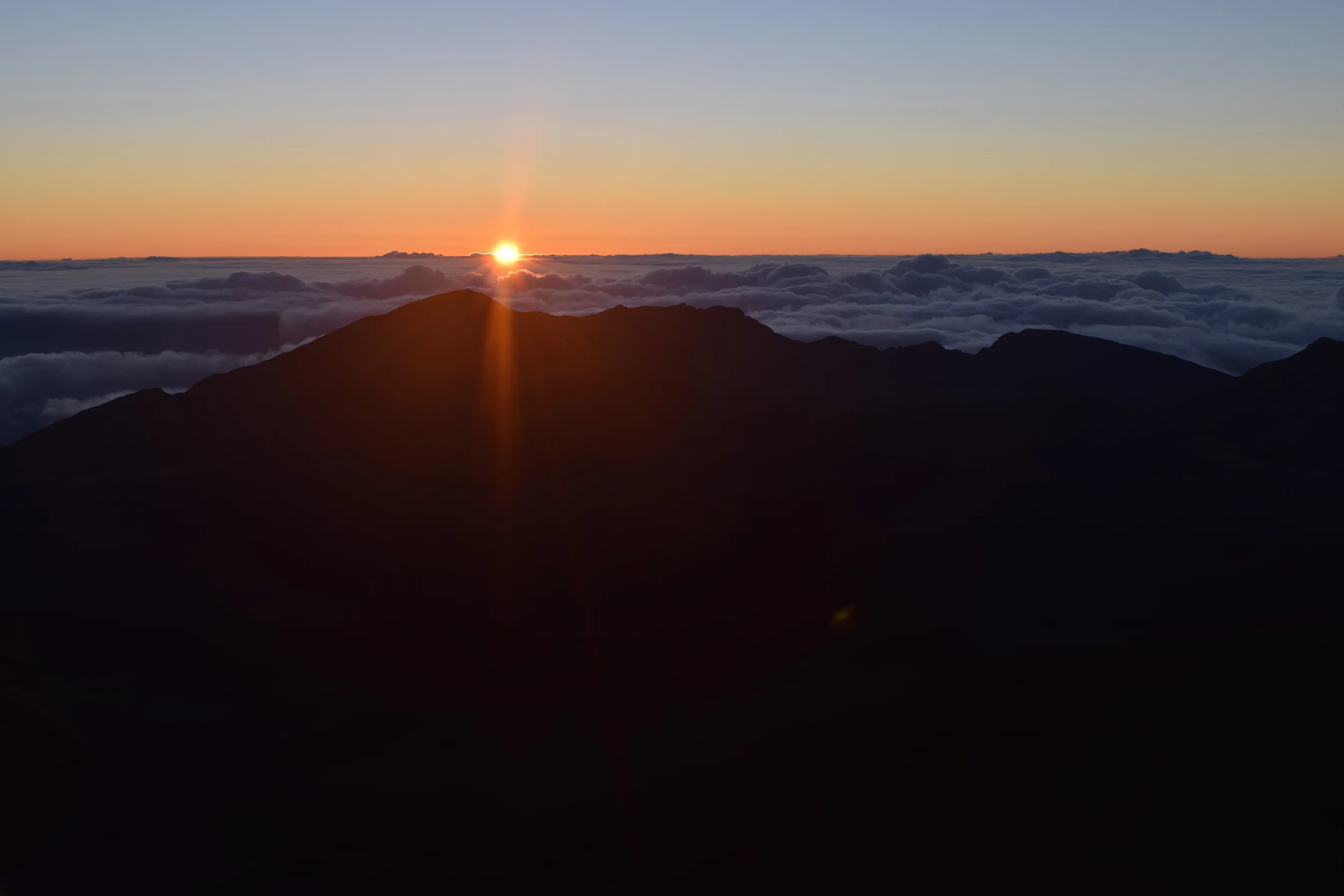 DSC_0451.JPG