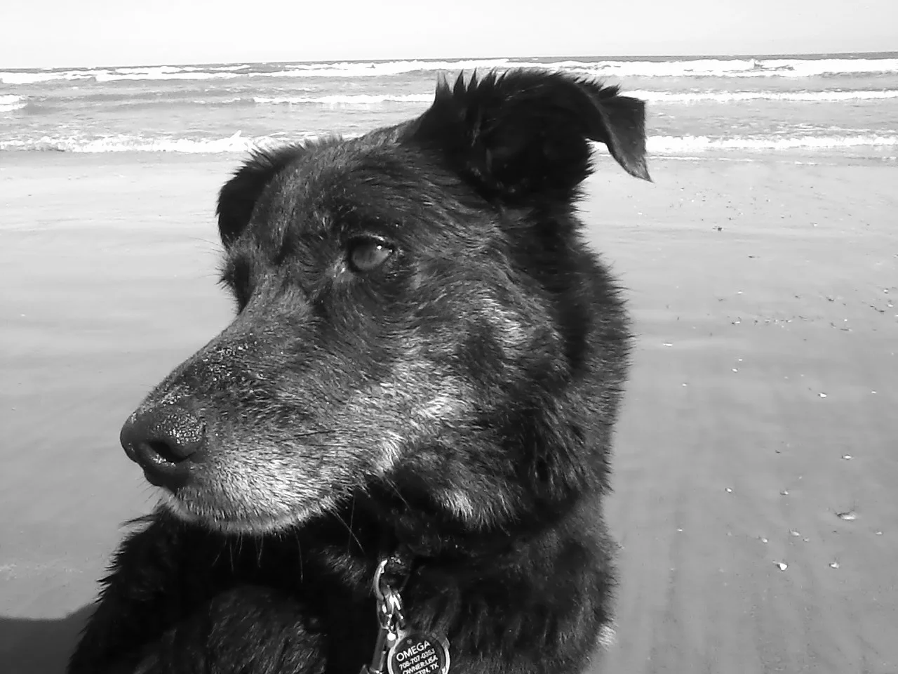 Happy Chinese New Year & 2018!