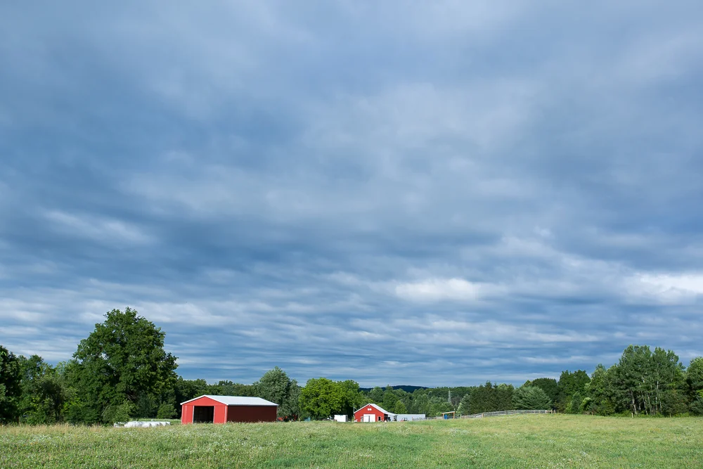 One of our huge fields for grazing.