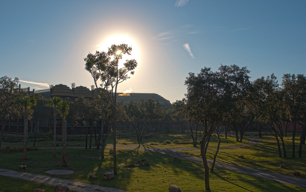 Disney's Animal Kingdom Lodge