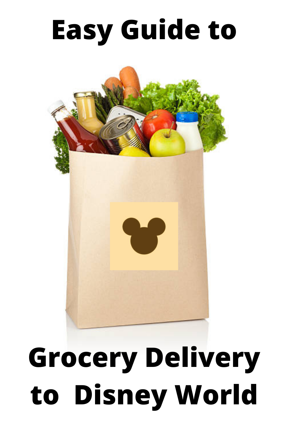 disney tourist blog grocery delivery