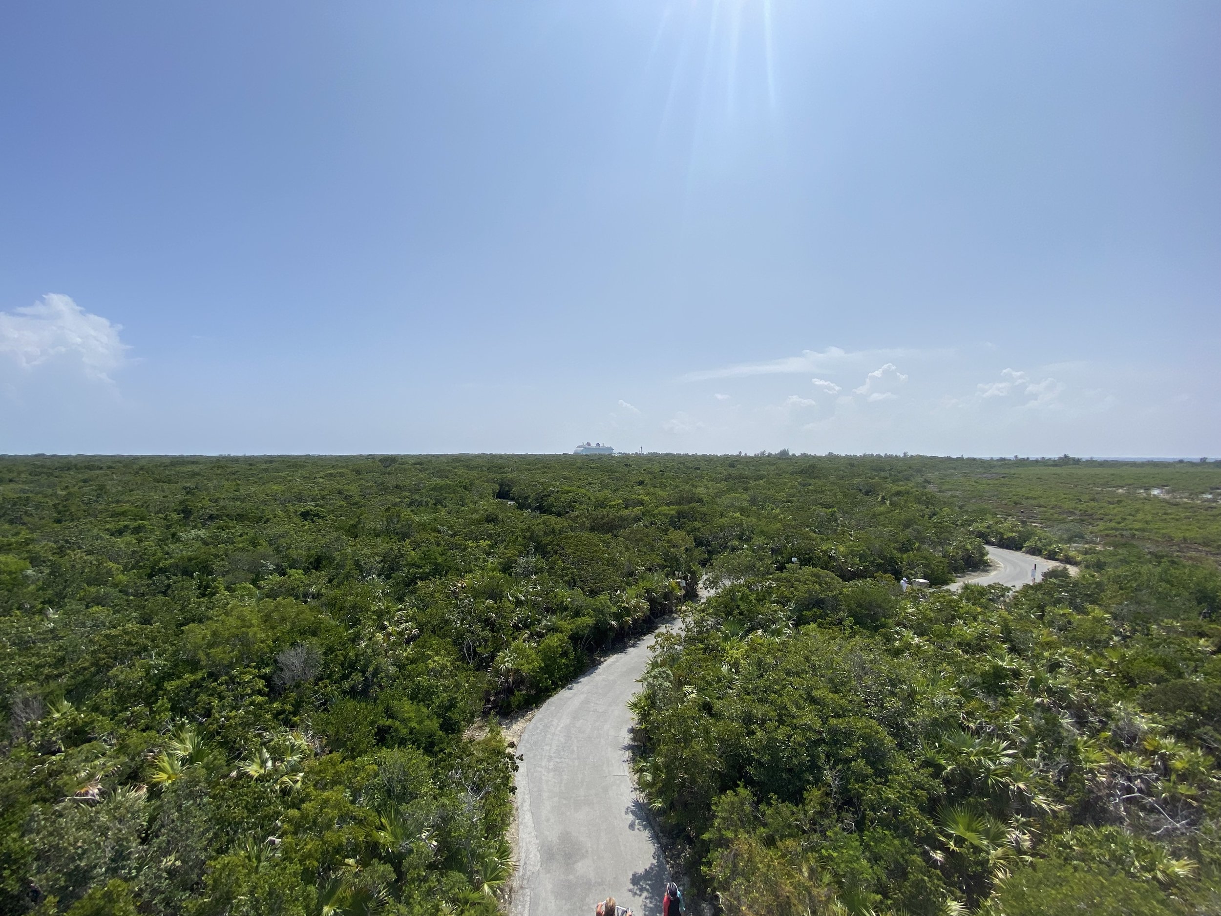  On our bike ride around Castaway Cay, we were able to appreciate the natural beauty of the island. I wonder if there’s buried treasure here?  