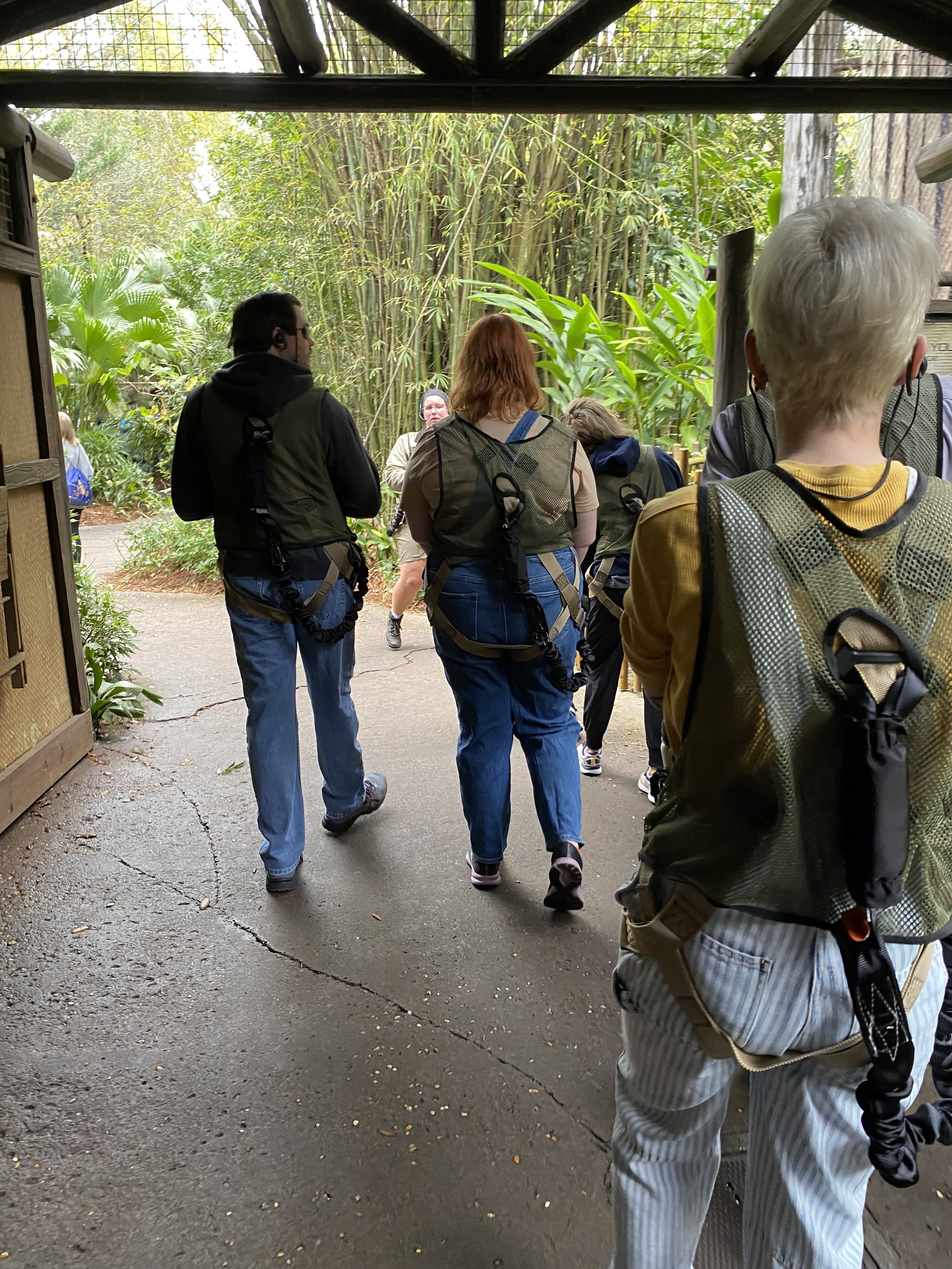  After a safety briefing, we were off right away, starting with the Gorilla Falls Expedition Trail.     There’s a secret entrance on the trail that leads you to the savanna. You would never spot it in a million years!  
