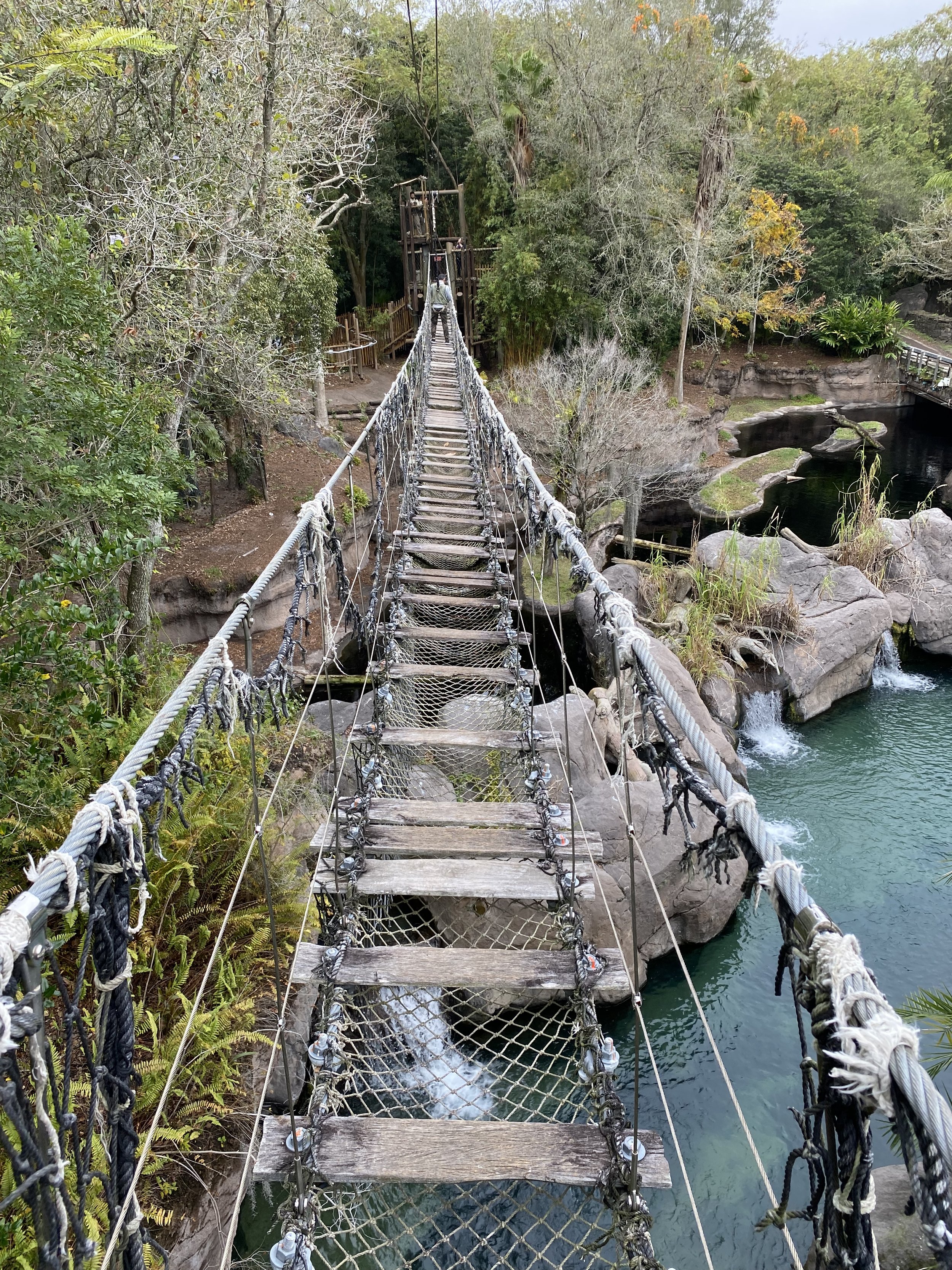  This was, to me, the highlight of Wild Africa Trek! An “Indiana Jones” style bridge that has seen better days. Yes, it bounces and sways as you go over. 