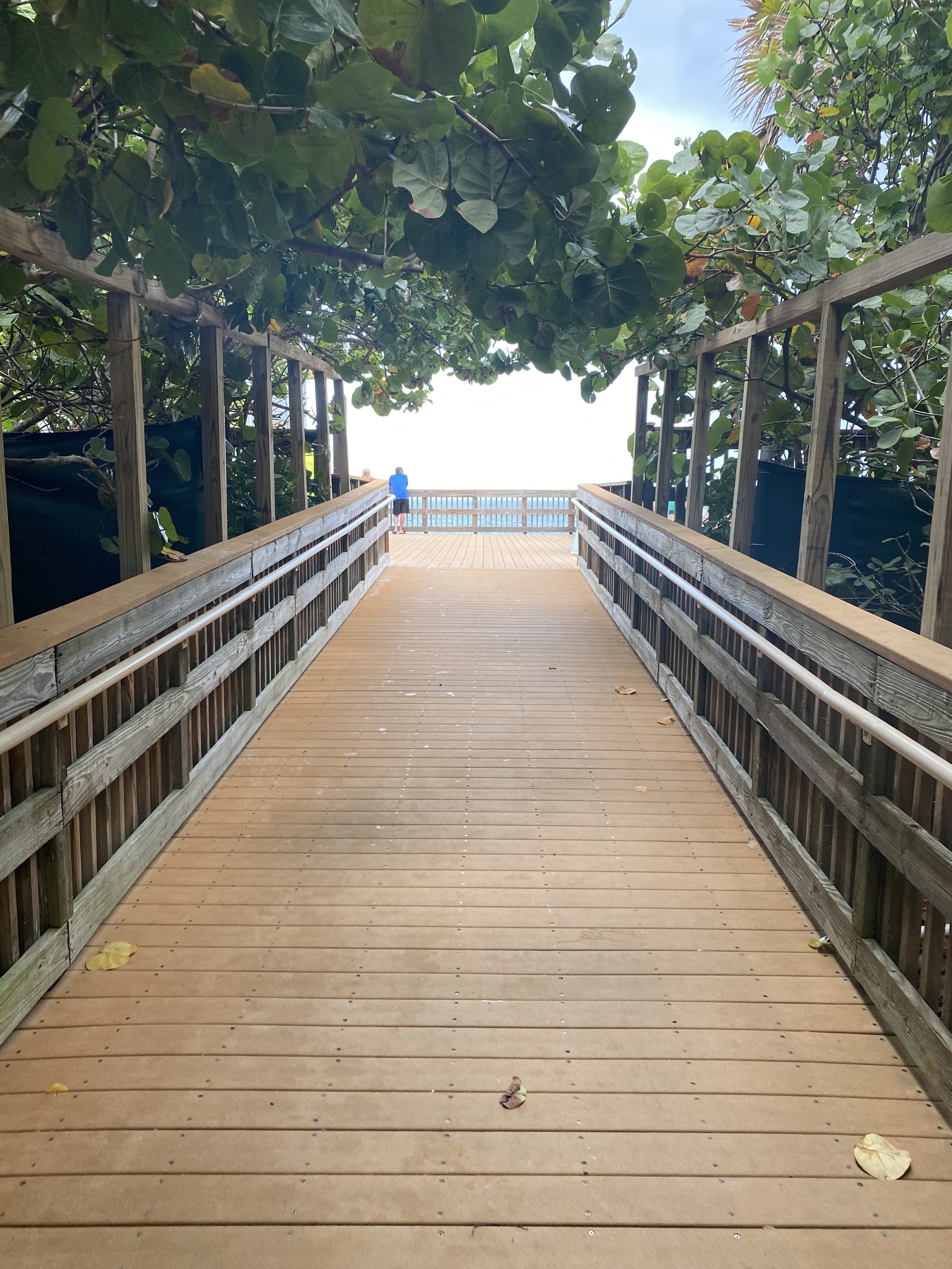  Pathway to the beach.  