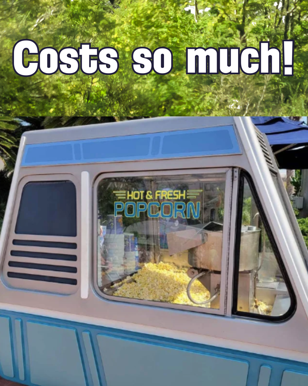 The Five Secrets: Why Theme Park Food Costs So Much