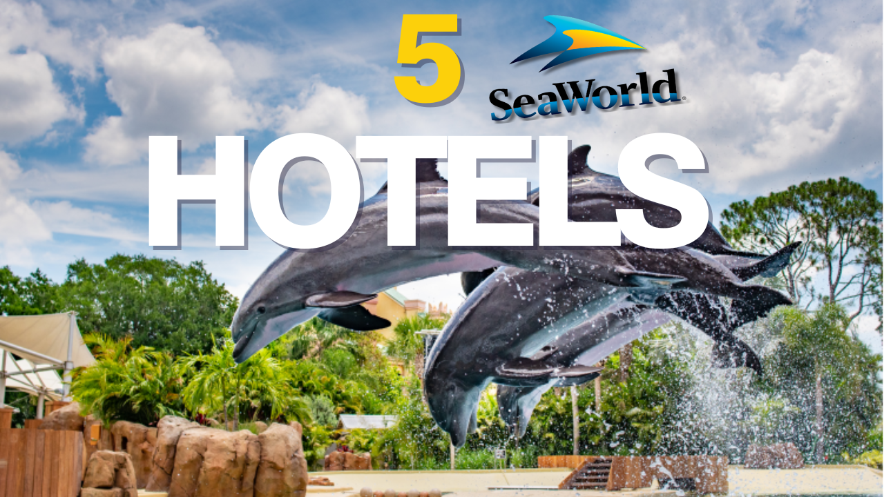 5 Best Hotels Near SeaWorld Orlando (2025 Guide &amp; Top Picks)