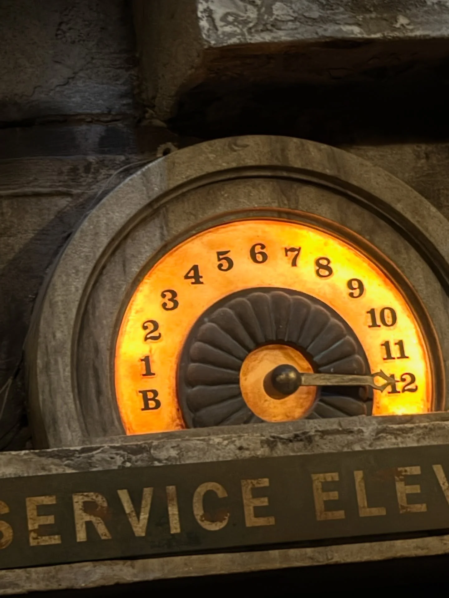 That moment when the doors close and you instantly question your life choices&hellip; but the storytelling is just too good to resist. Tower of Terror gets me every time 👀🛗

#TowerOfTerror #HollywoodStudios #DisneyWorld #WaltDisneyWorld #DisneyPark