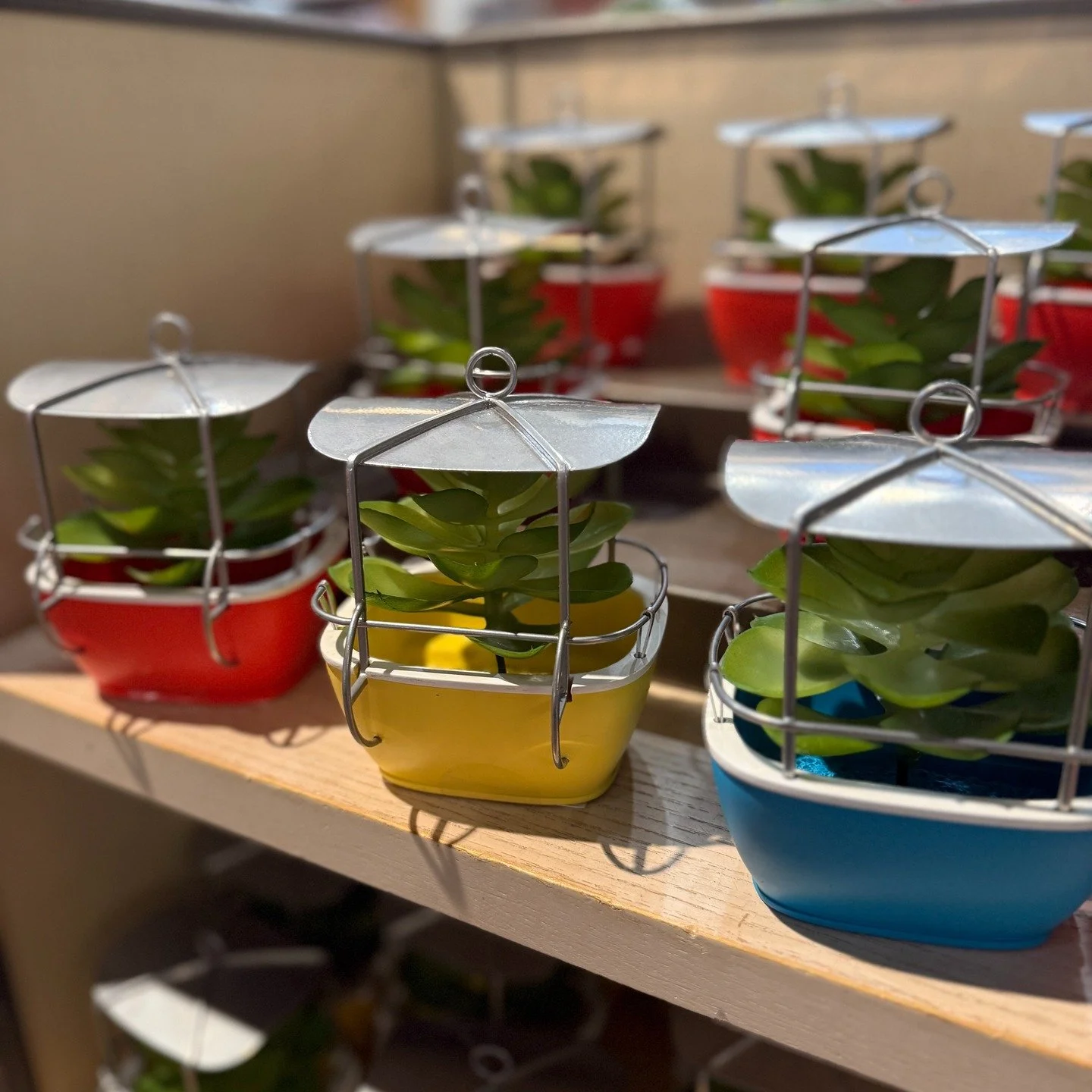 The ultimate "If You Know, You Know" Disney desk accessory! 🚠🪴✨

I am obsessed with these new Skyway bucket succulent planters. Seeing that "71" on the side is such a perfect nod to Magic Kingdom&rsquo;s opening year. Whether yo