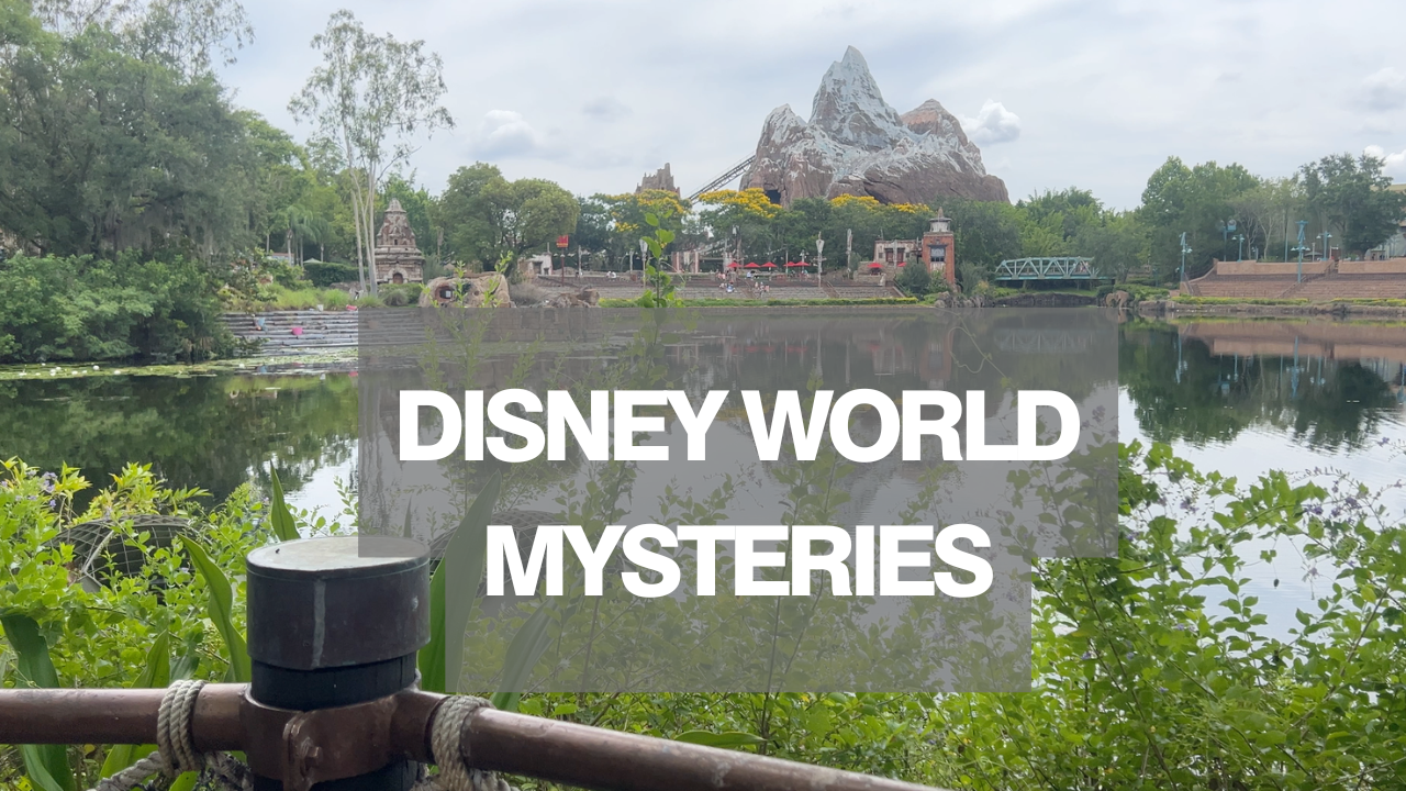 Disney World Mysteries That Make NO SENSE: Operational Secrets Revealed