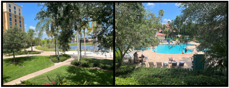 Best Water View Rooms at Disney's Coronado Springs Resort