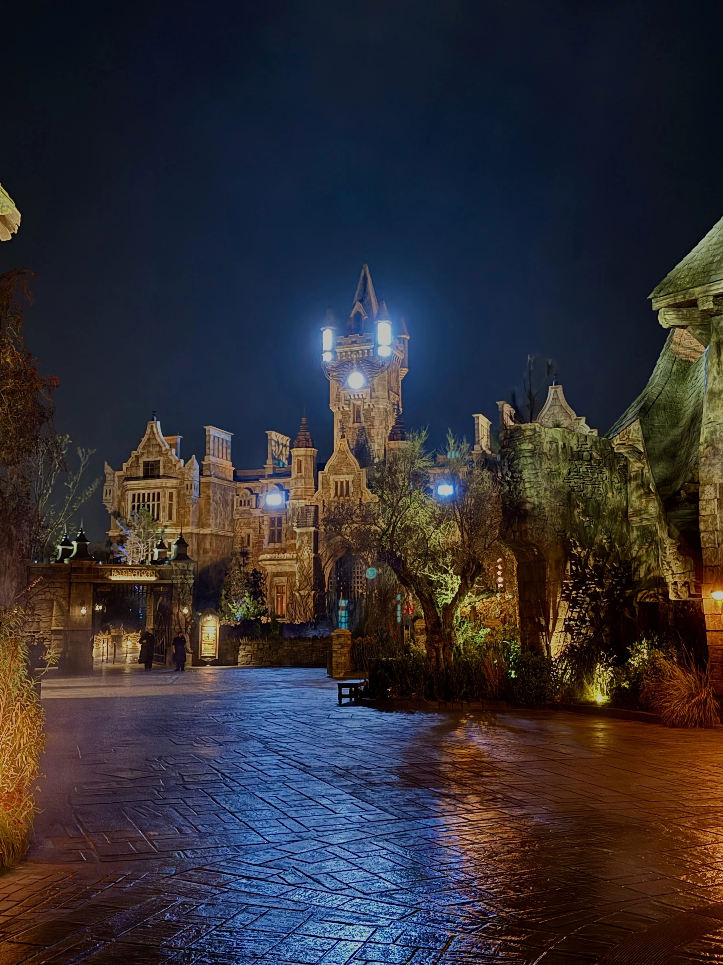 Dark Universe at Night showing Frankenstein Castle.