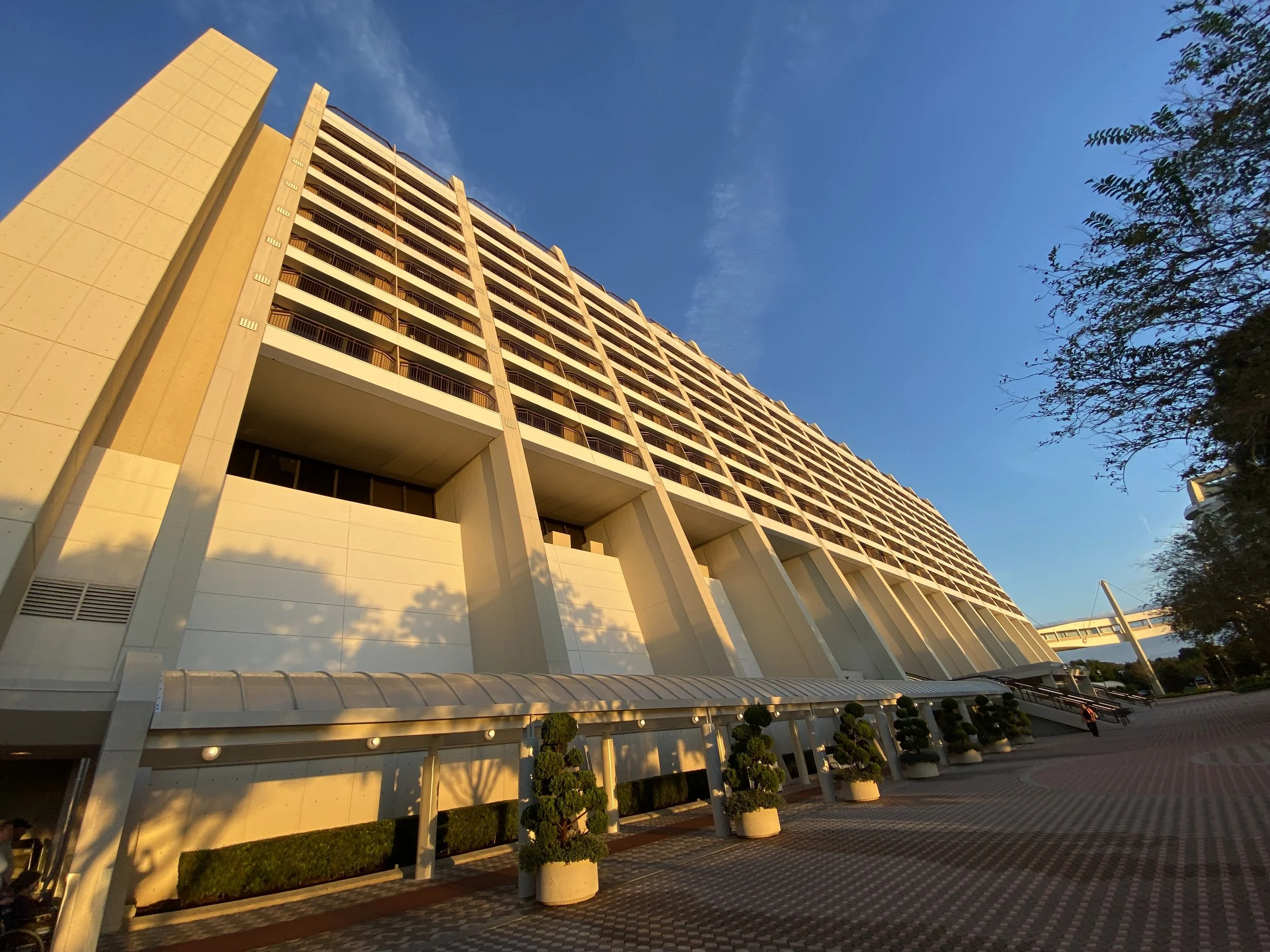 disney's contemporary resort exterior during golden hour sunrise