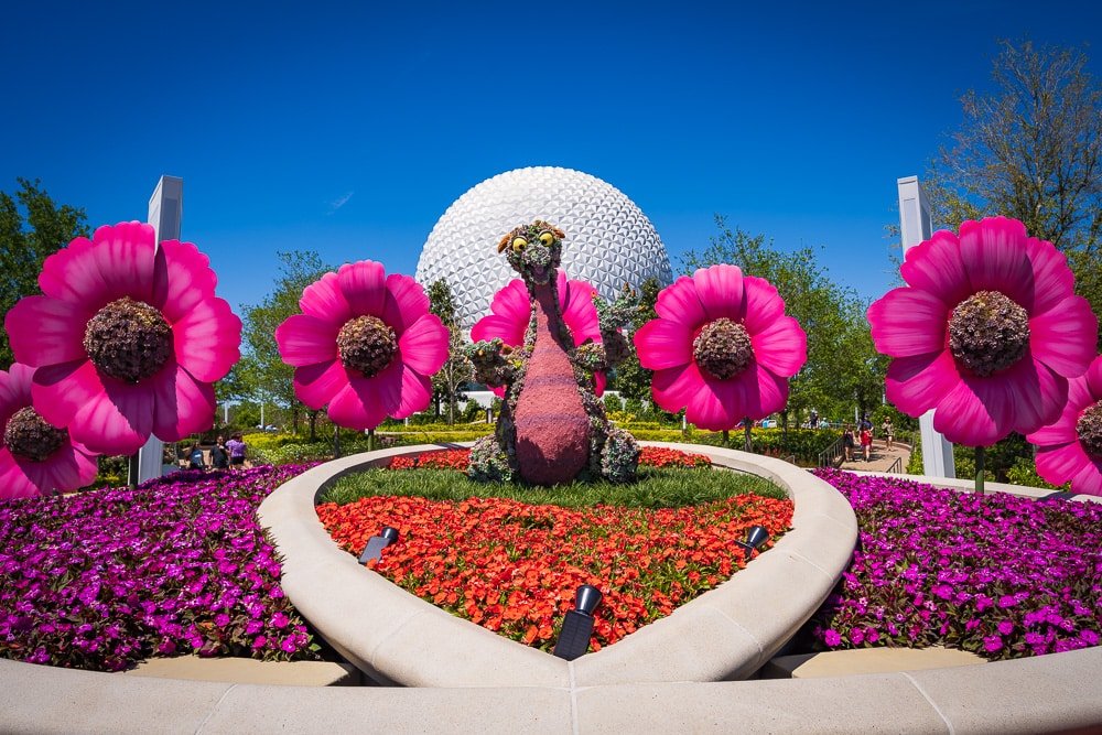 Room Discounts Available for Epcot Flower and Garden Festival In 2025