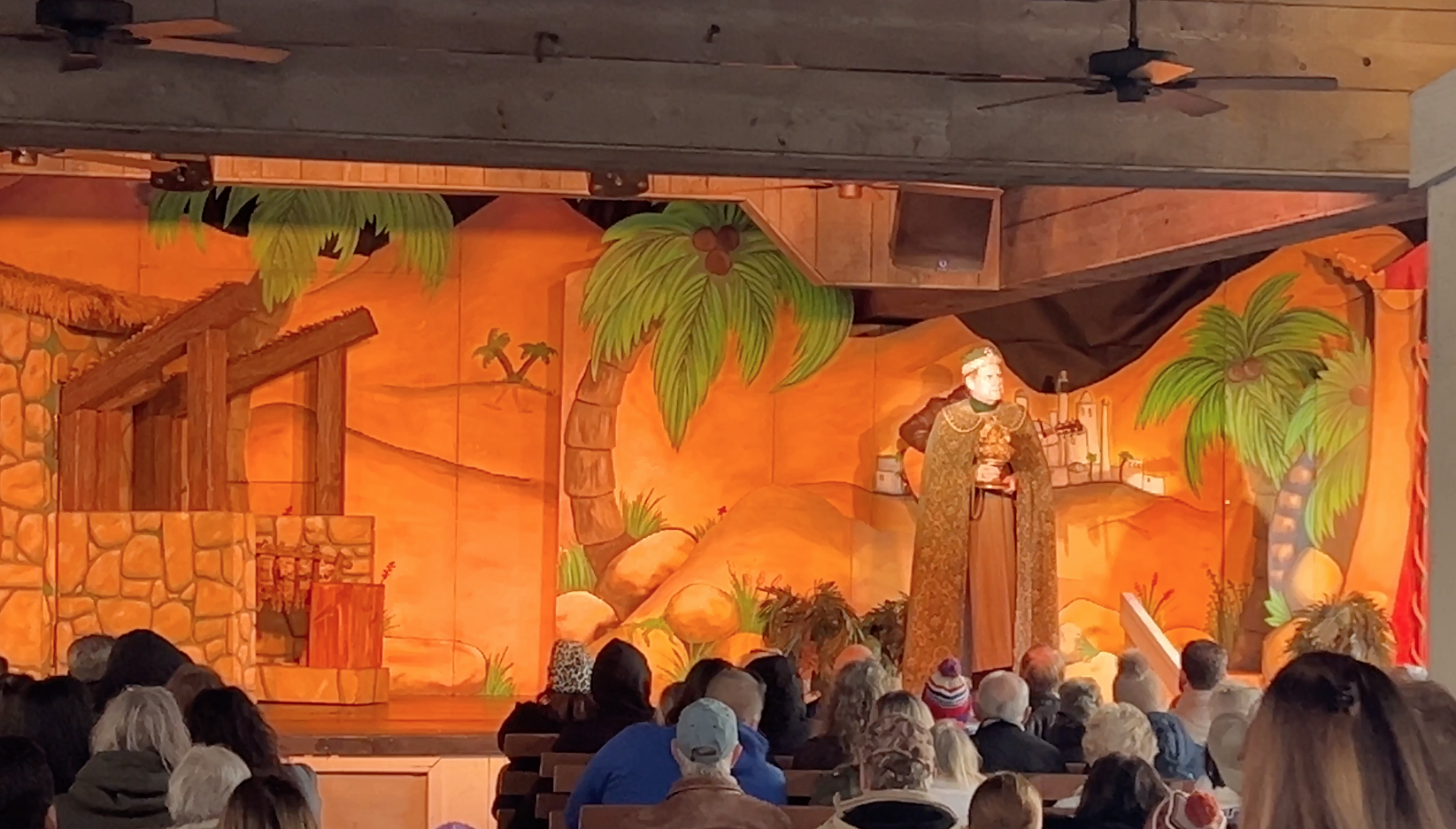 Dollywood christmas show