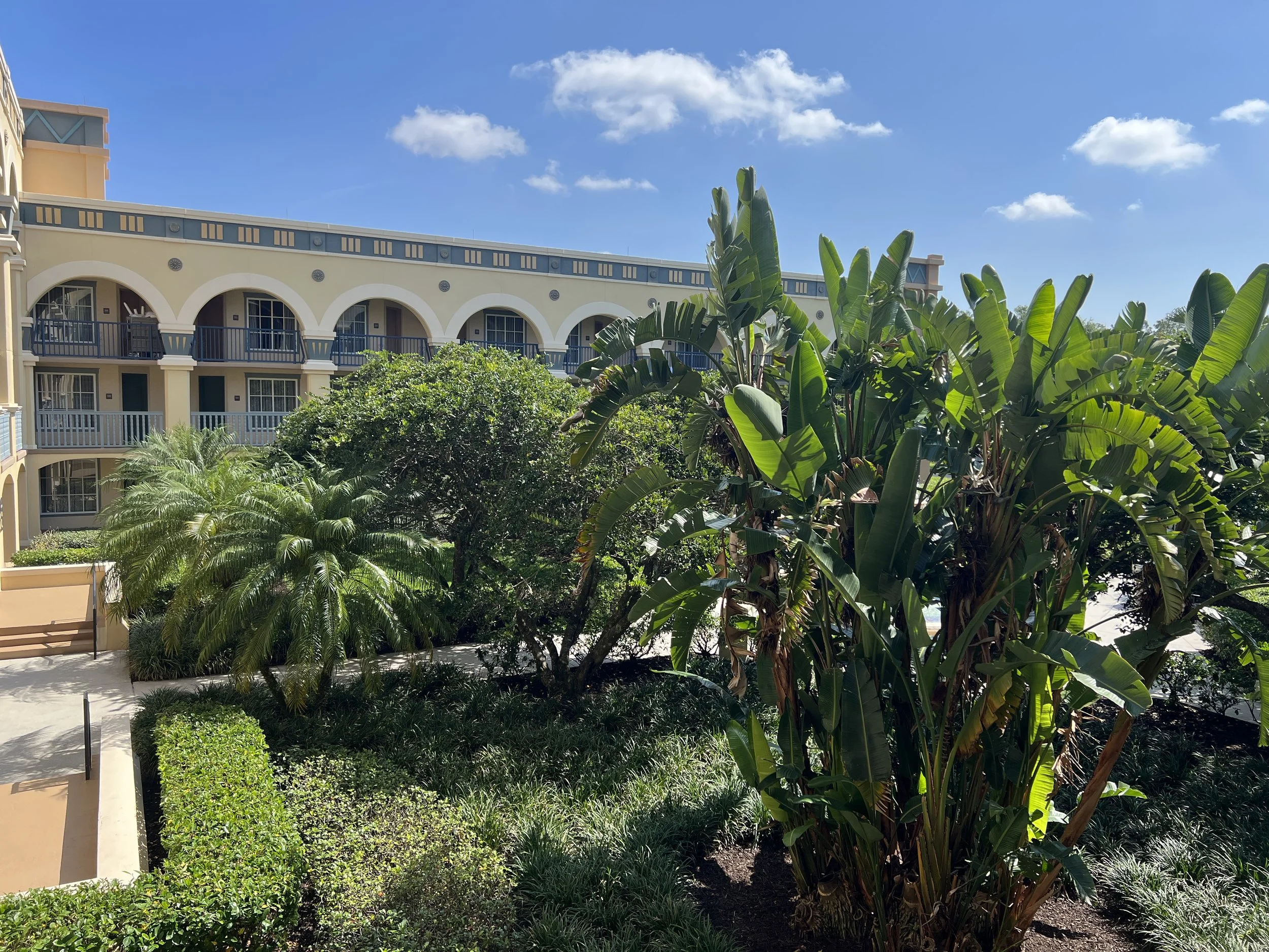 Best Standard View Rooms at Disney's Coronado Springs Resort