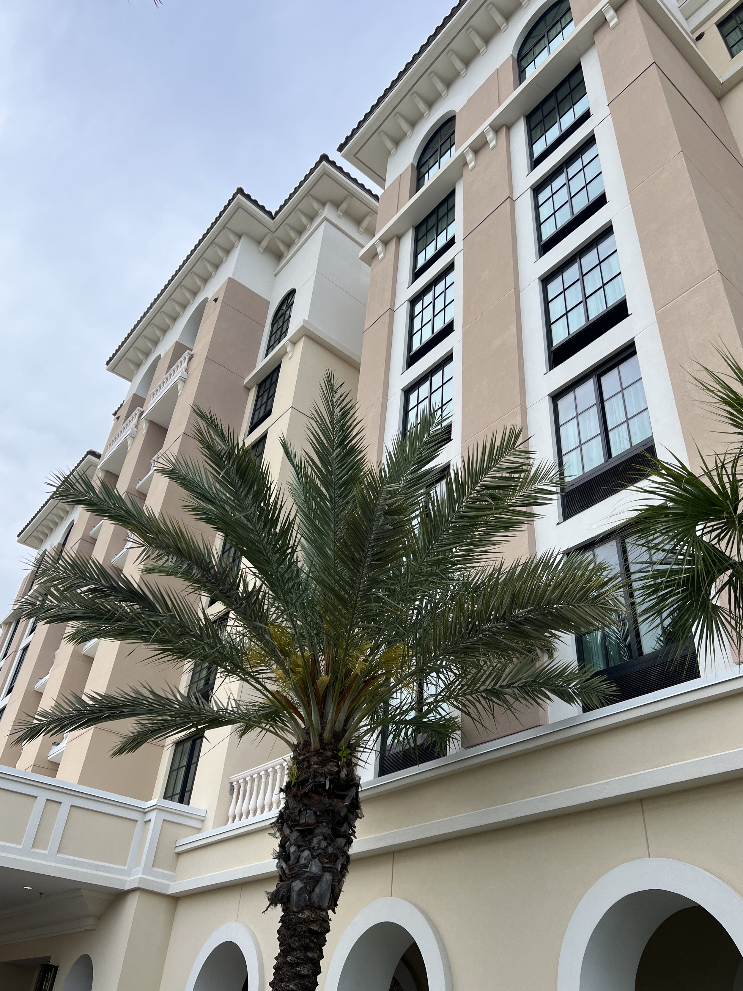 Guide to Homewood Suites at Flamingo Crossing | Walt Disney World