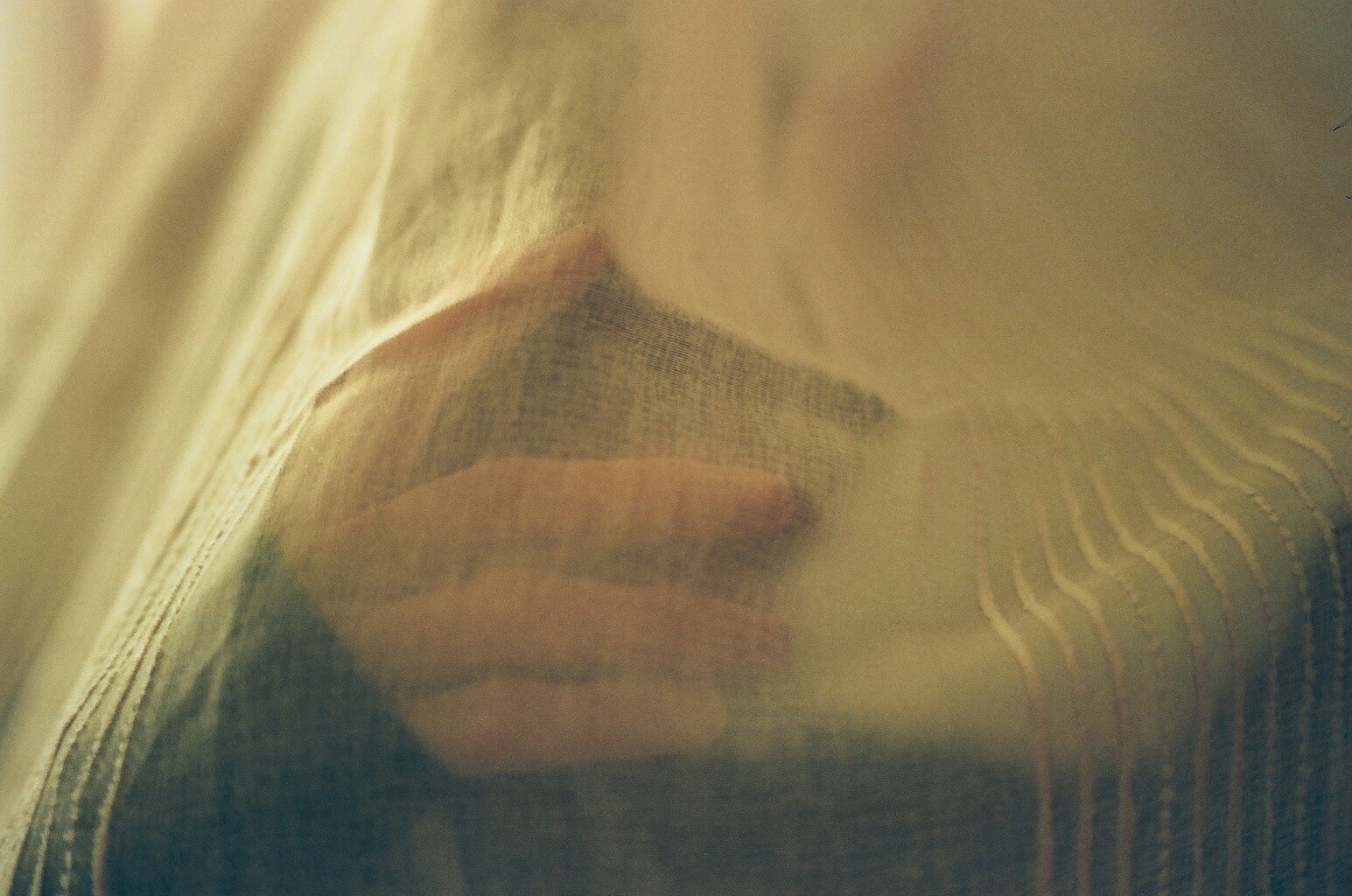 49560003 copy.jpg