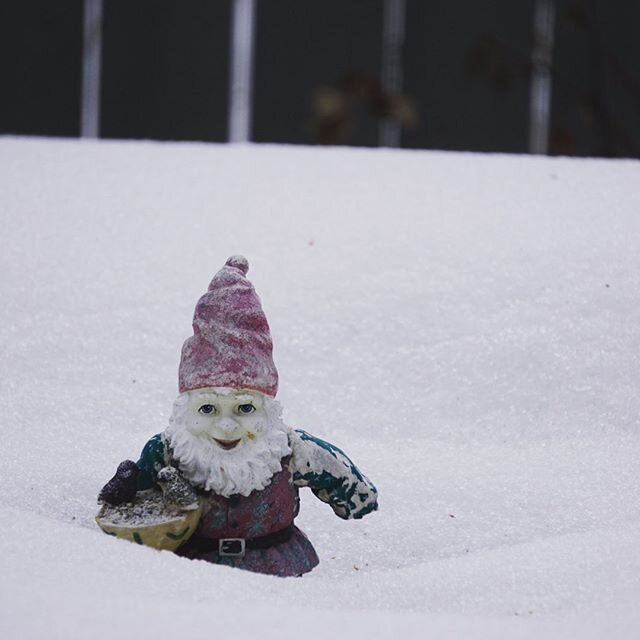 Covid or not; the gnome says it&rsquo;s still winter.  Stay safe! #structuredforspeed #xcski #biathlon #winter