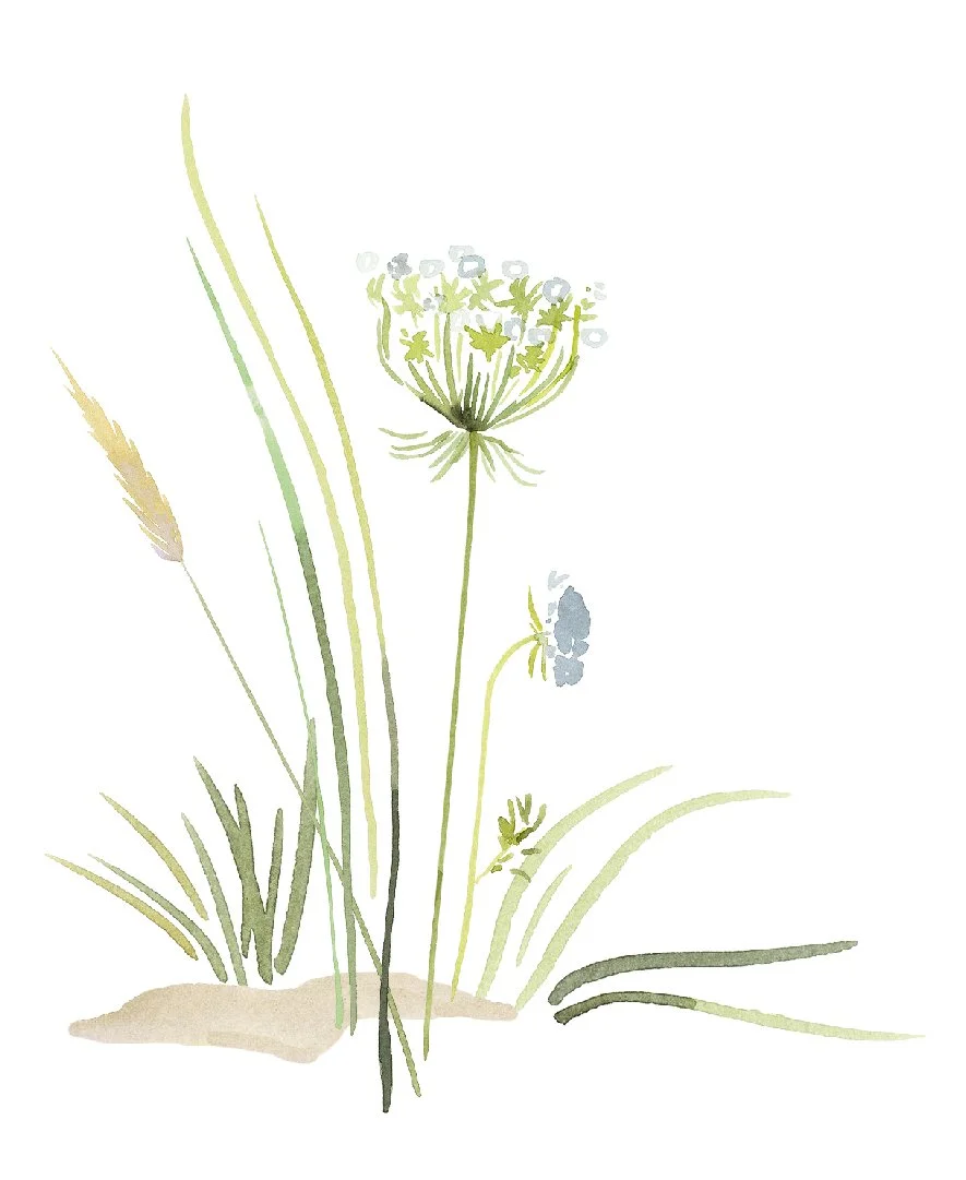 seagrass copy.jpg