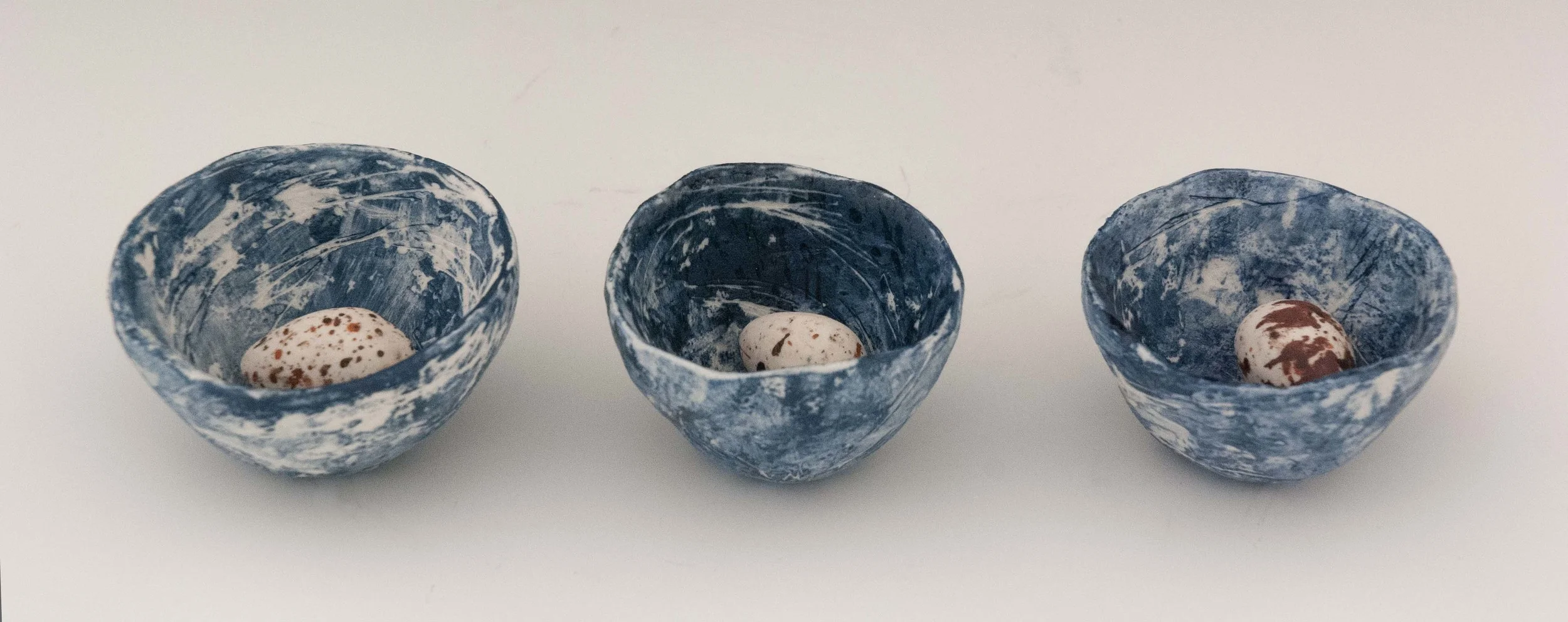 NESTS