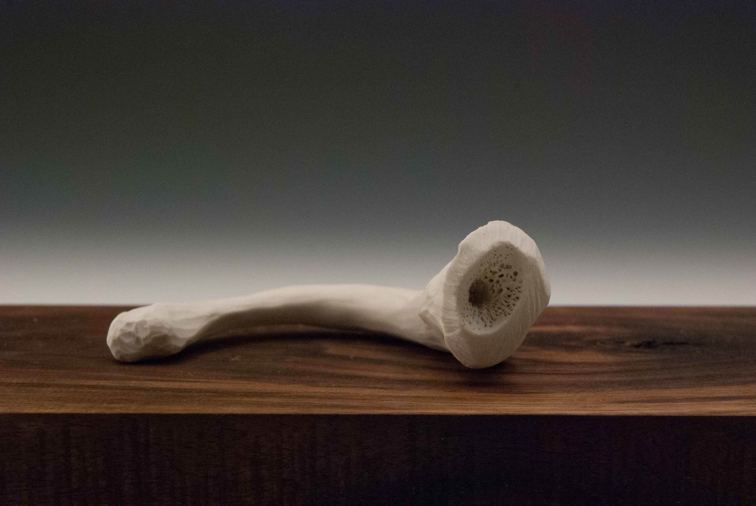 Bone 2