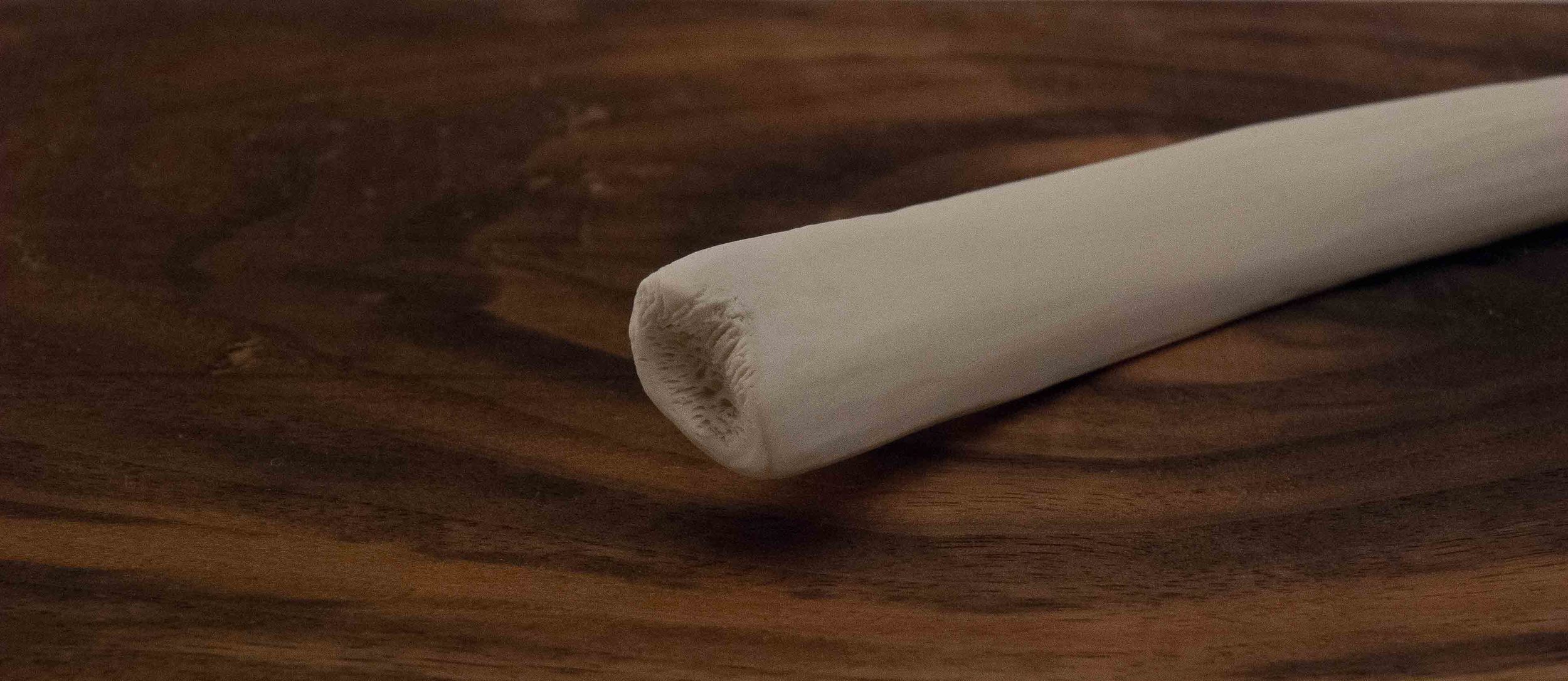 Bone 3 (detail)