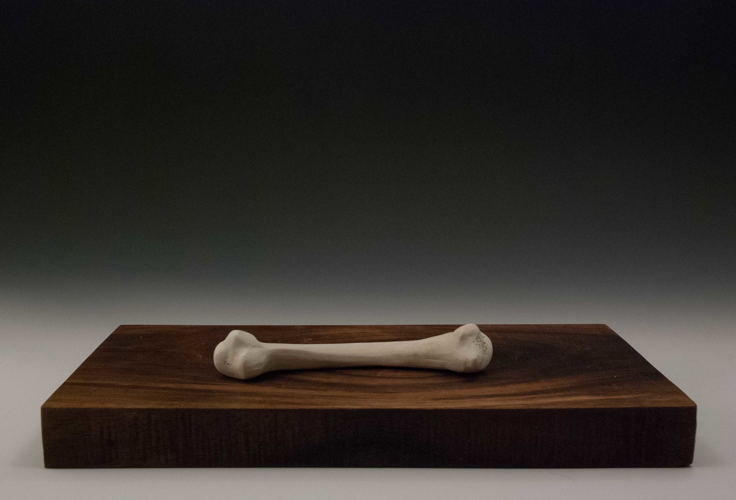 Bone 3