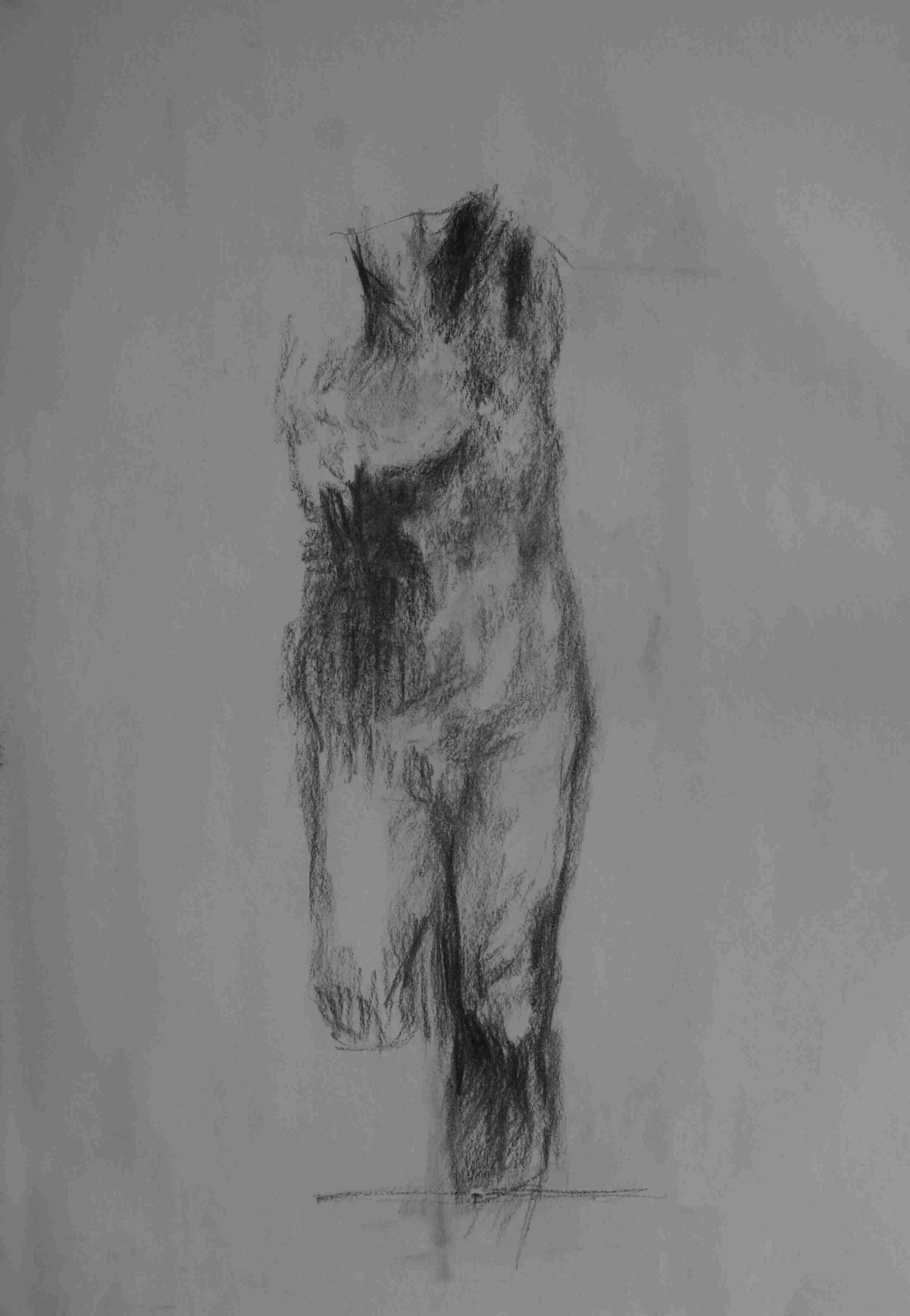 torso study.jpg