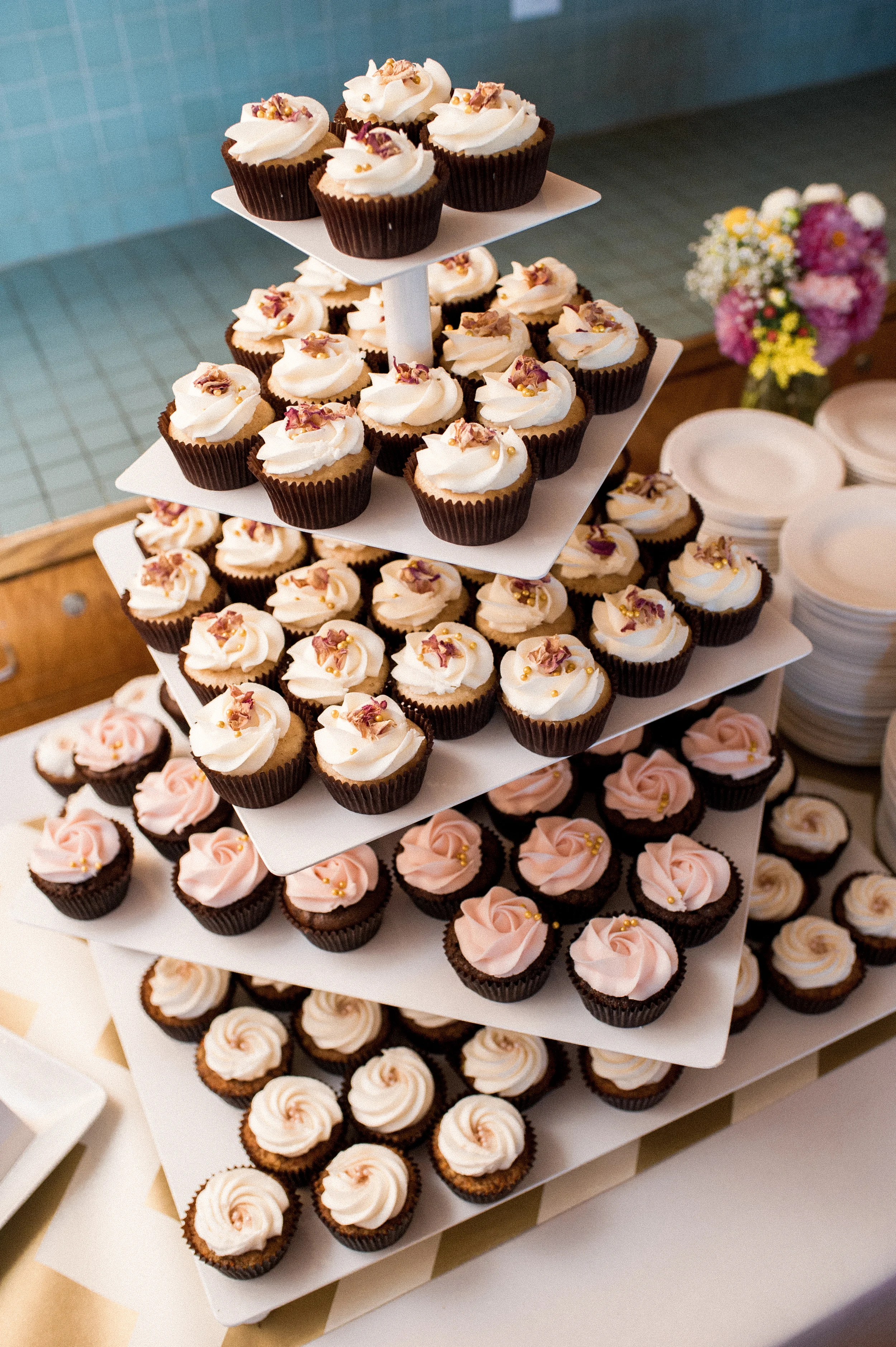Gill_5016.JPG