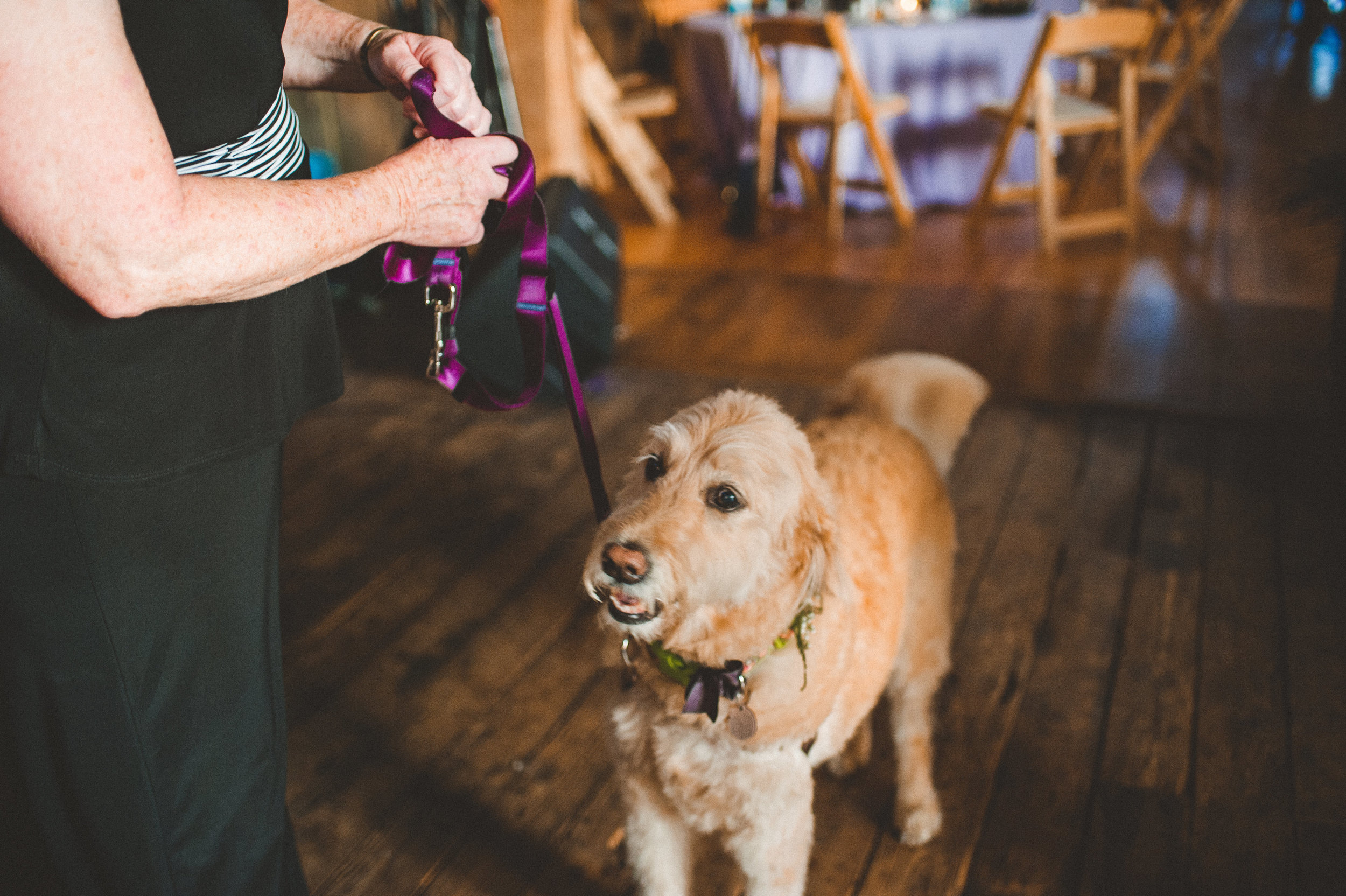 Lauren+John-5216.jpg