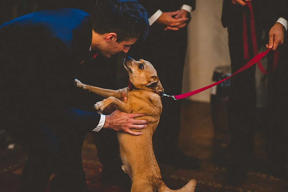 Viva Love Philadelphia Wedding Photographer_0229.jpg