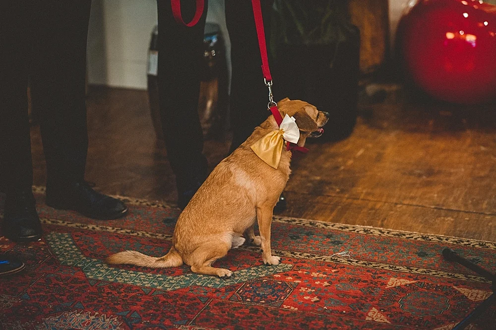 Viva Love Philadelphia Wedding Photographer_0230.jpg